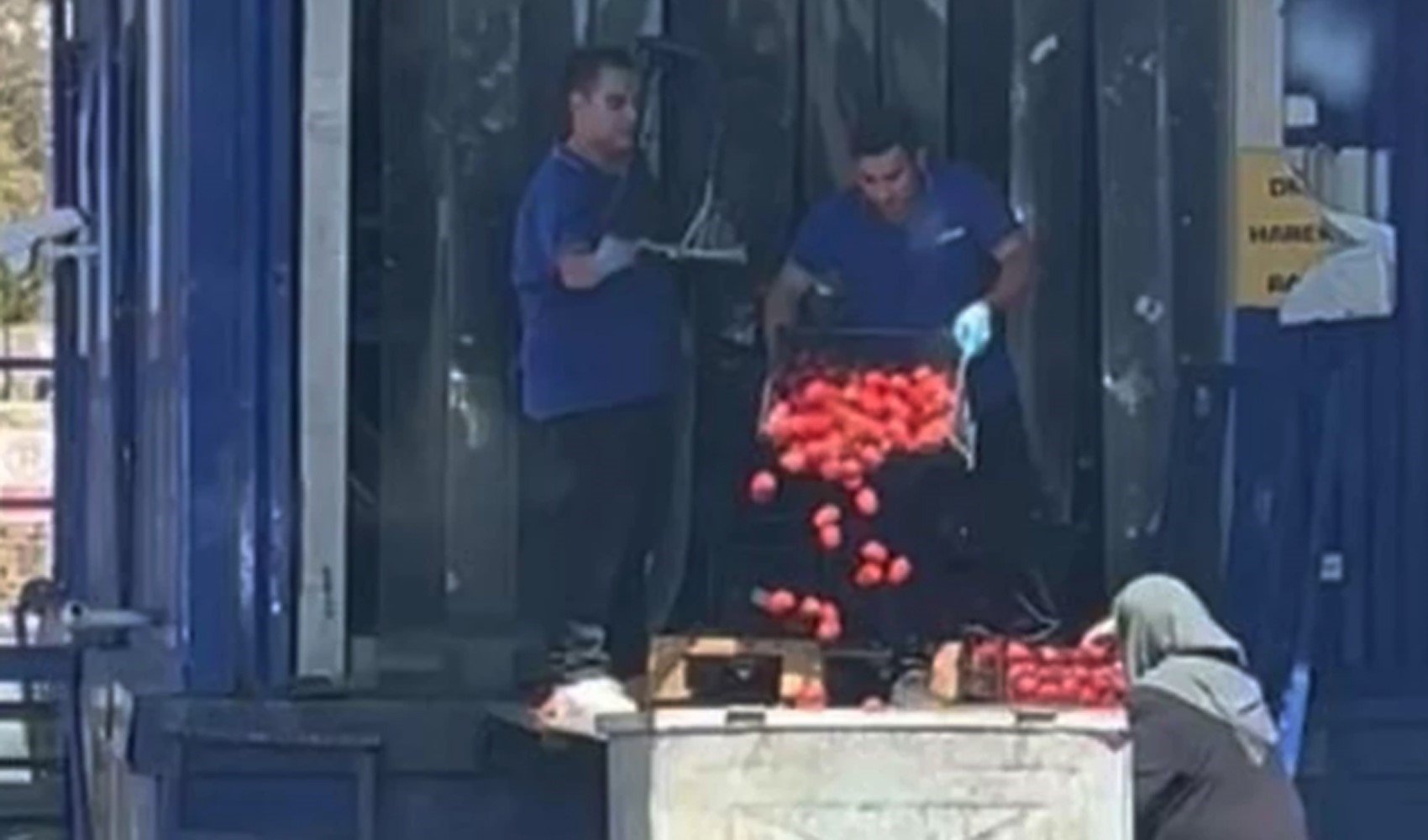 Bakanlıktan çöpe dökülen domateslere dair açıklama Bakanlıktan çöpe dökülen domateslere dair açıklama