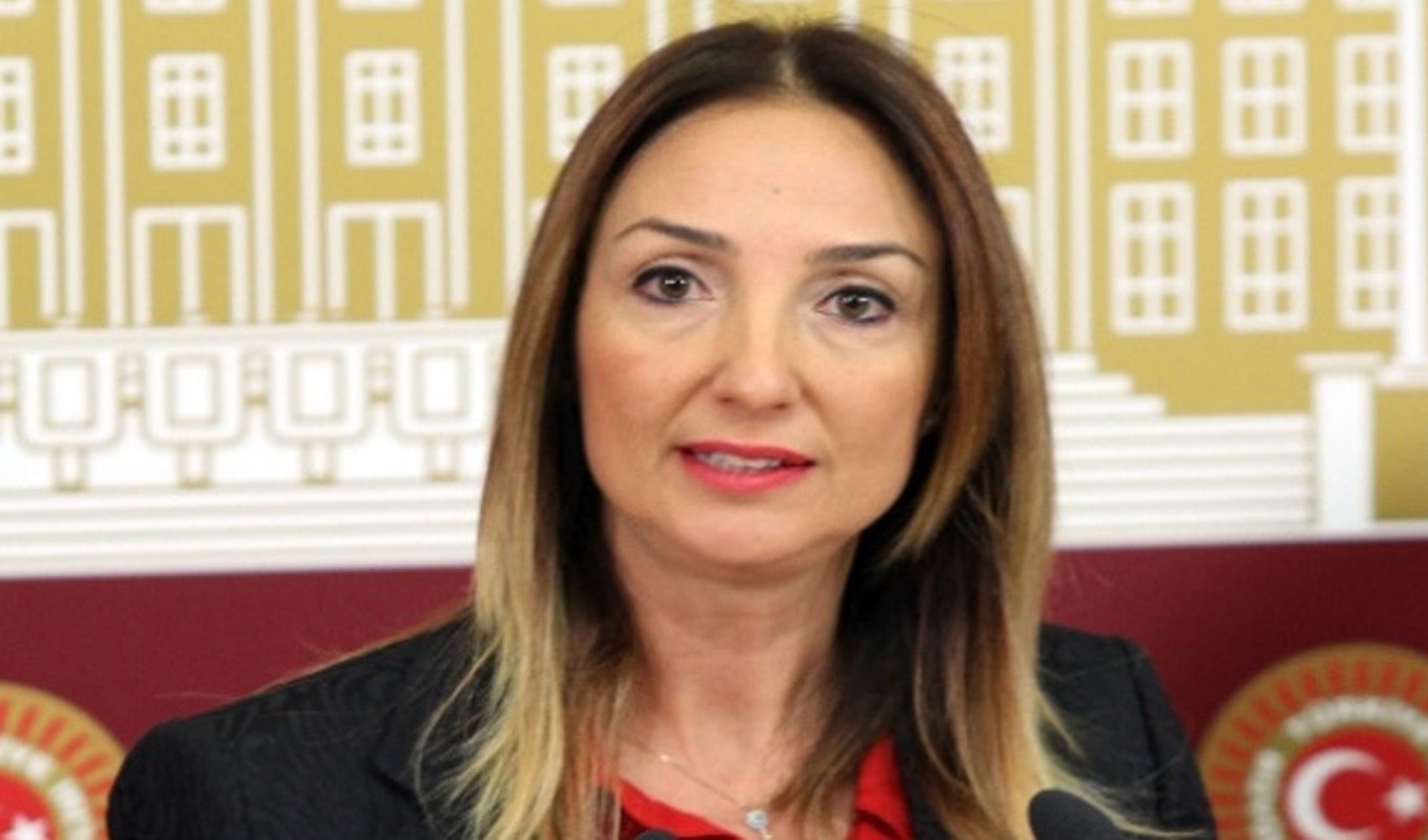 CHP'li Nazlıaka'dan genç kıza taciz iddialarına 'sapkın zihniyeti cesaretlendiriyor' tepkisi: Koruma altındaydı