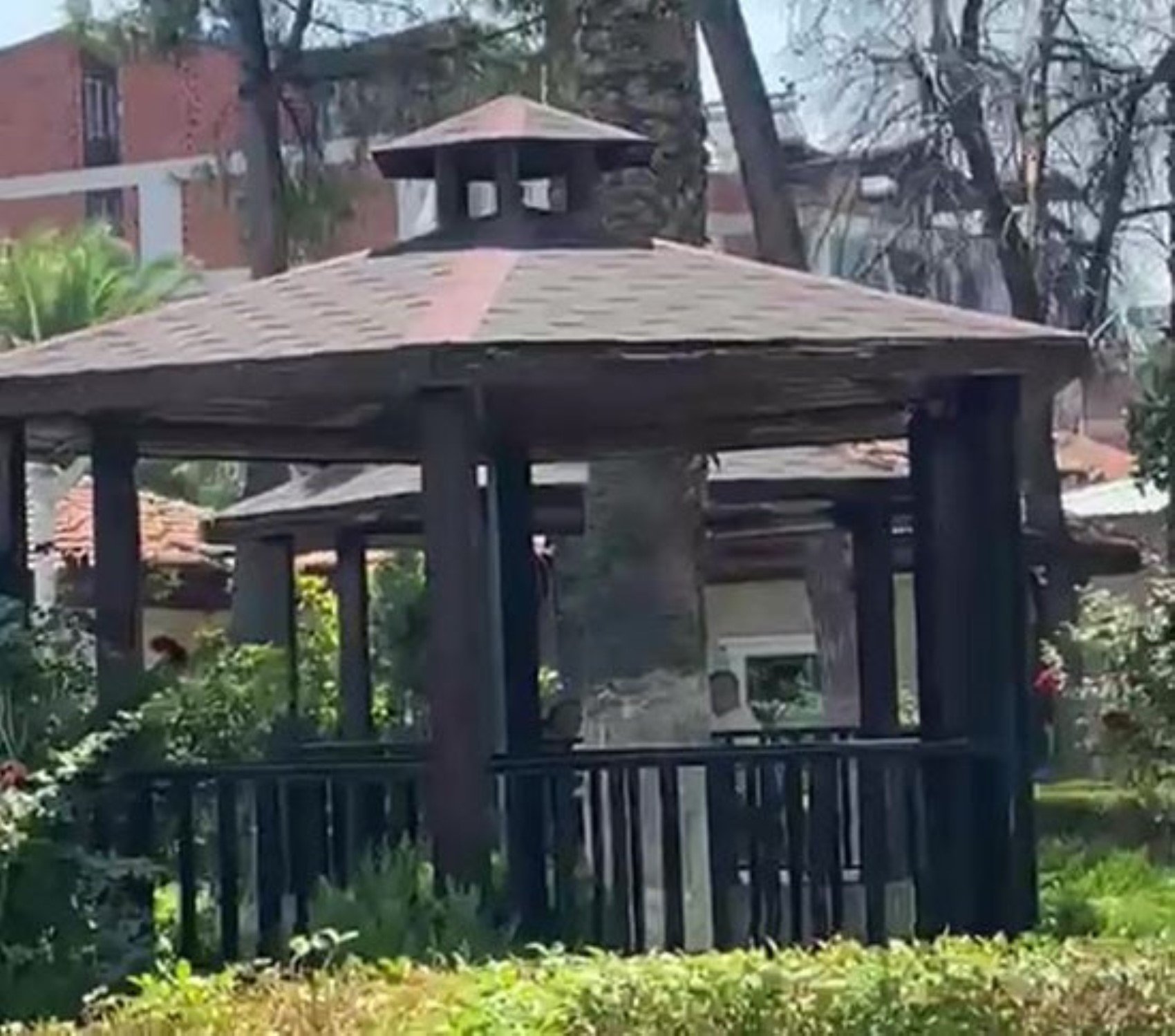 Parkta, müdür kocasıyla bastığı kadını saçından sürükledi: İdari yaptırım uygulandı
