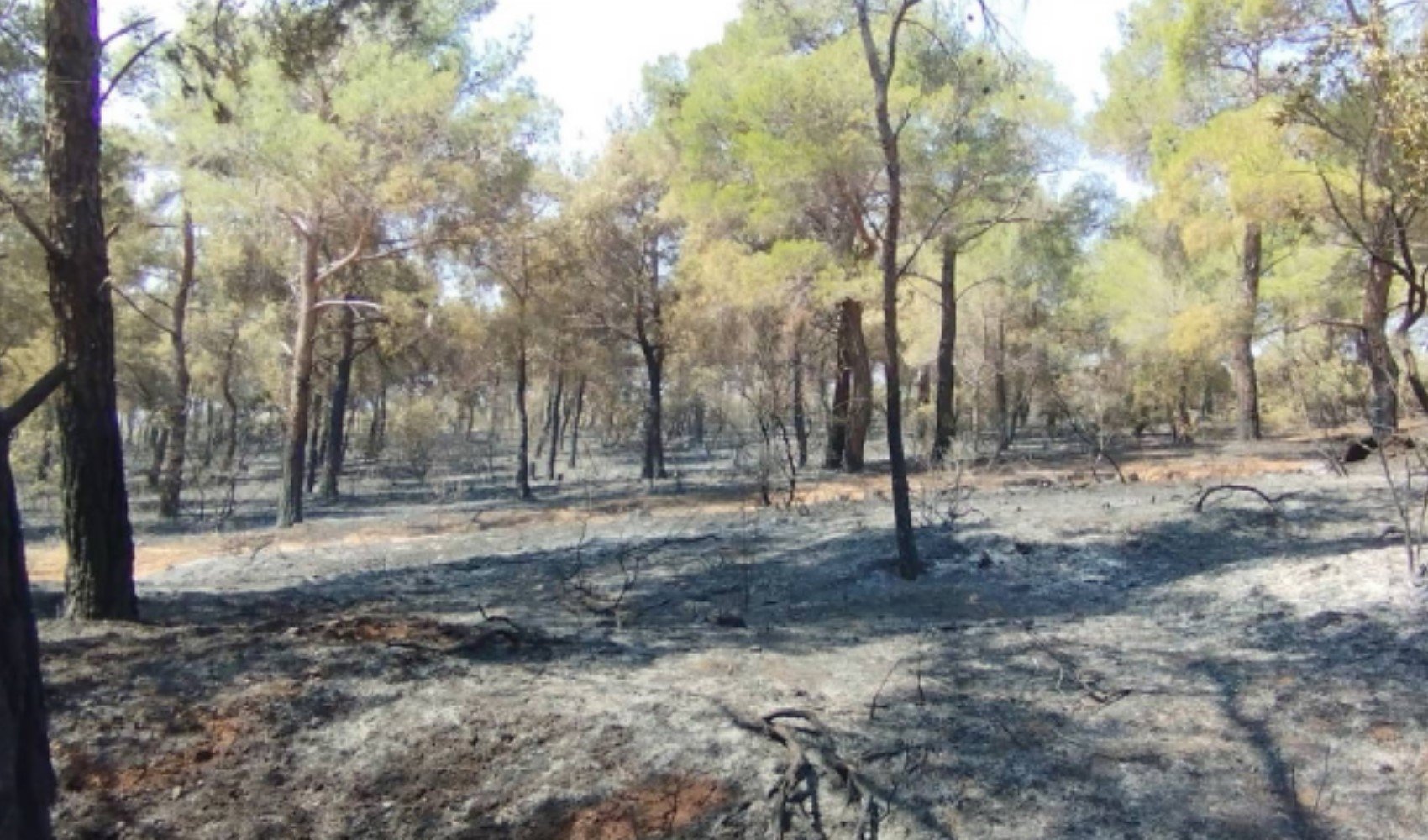 Çanakkale'deki yangın sonrası büyük enkaz ortaya çıktı
