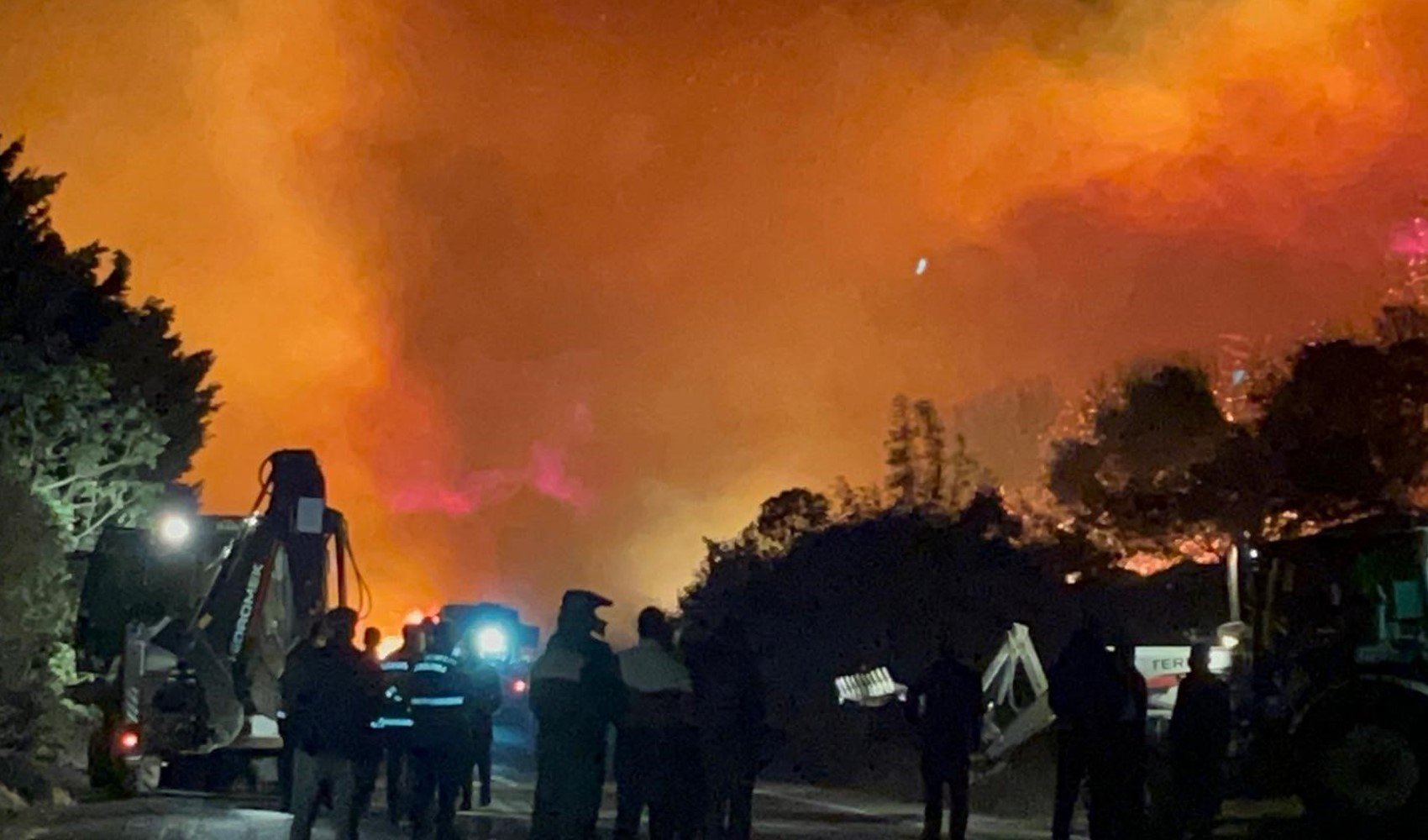 Bursa’daki orman yangını kontrol altına alındı