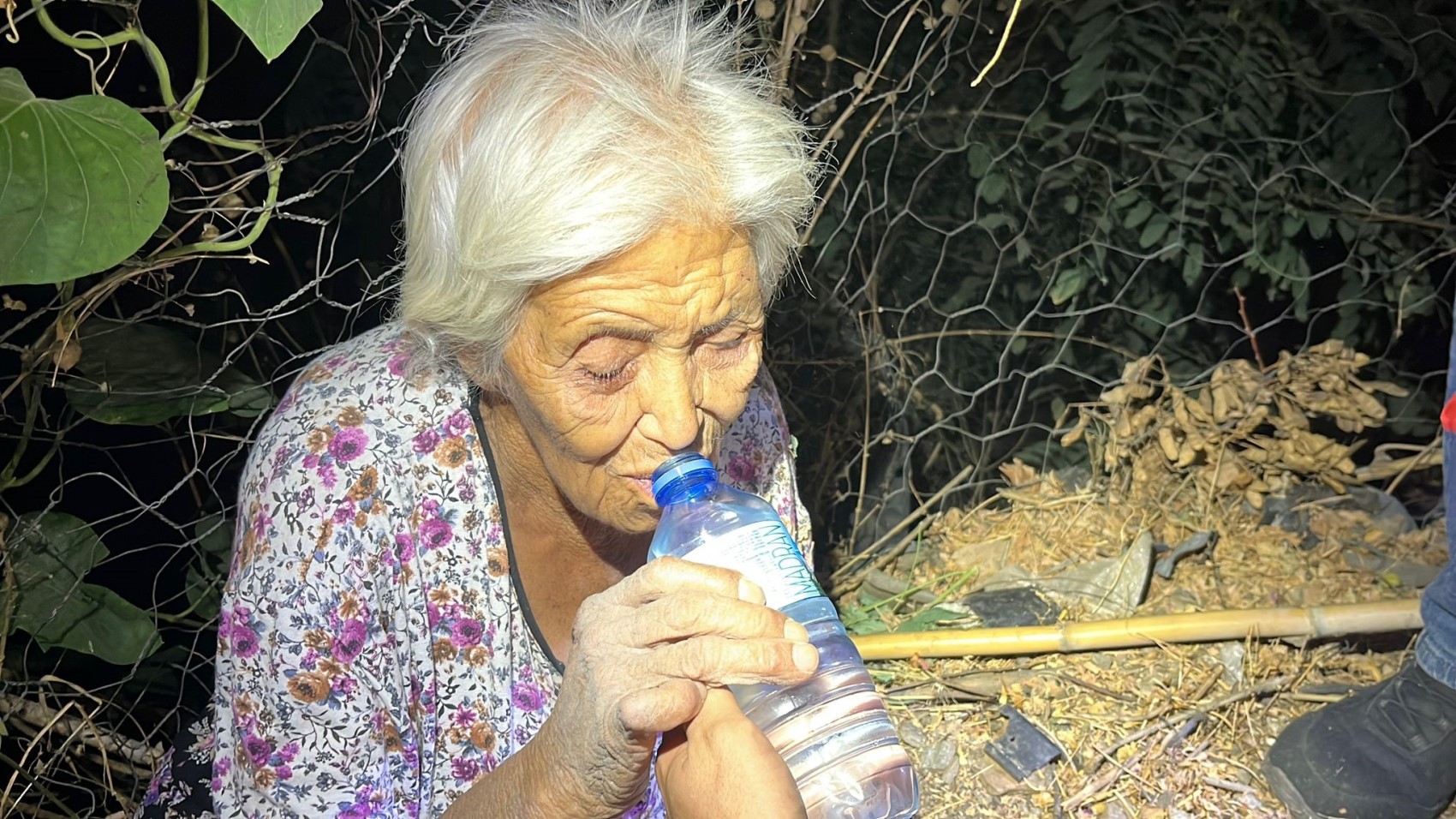 Yaşlı kadın mama verdiği köpek sayesinde bulundu