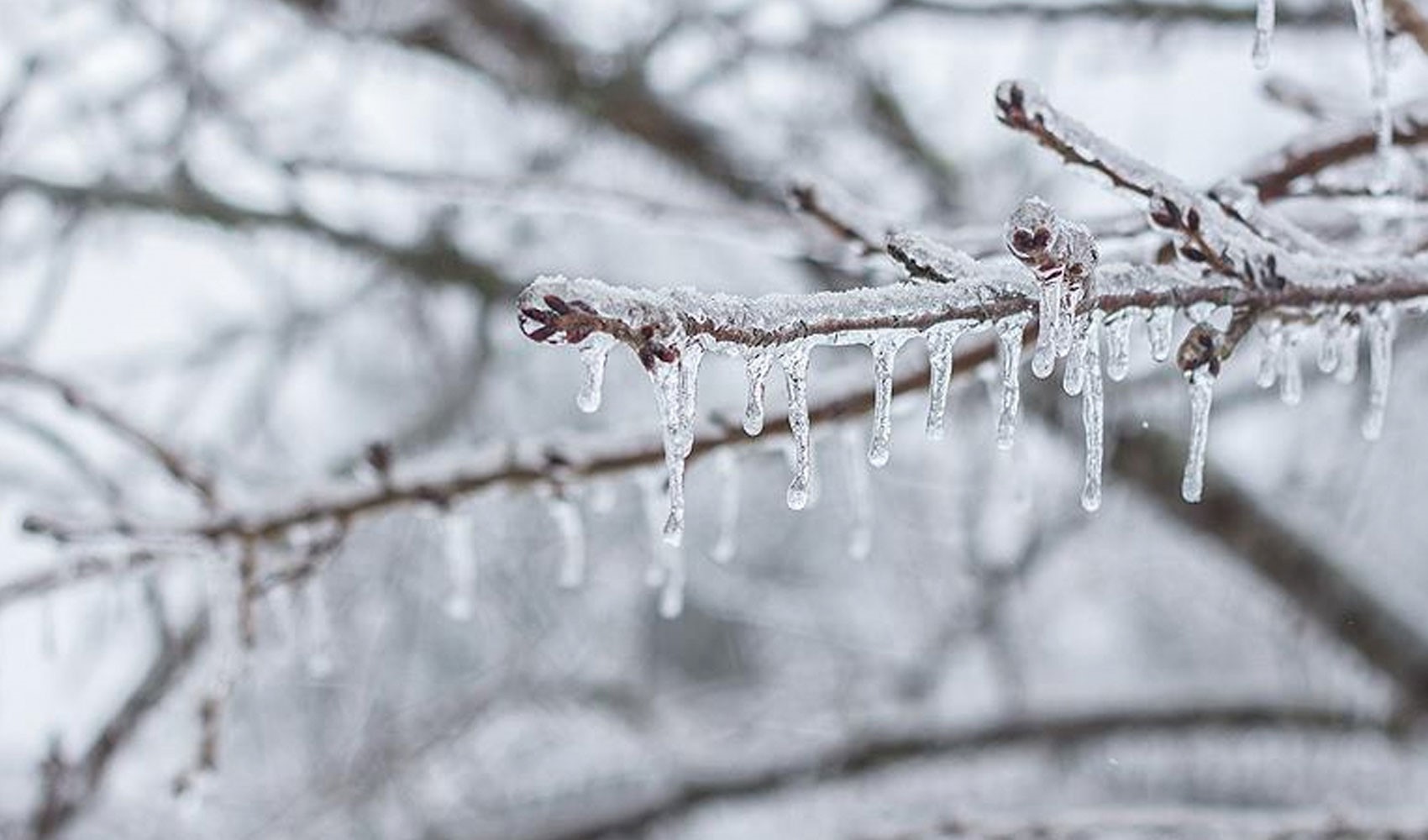 Yeni yılın ilk gününde Meteoroloji'den 31 kente sarı kodlu uyarı: Kar yağışı ve buzlanmaya dikkat! İşte il il 1 Ocak Perşembe hava durumu...