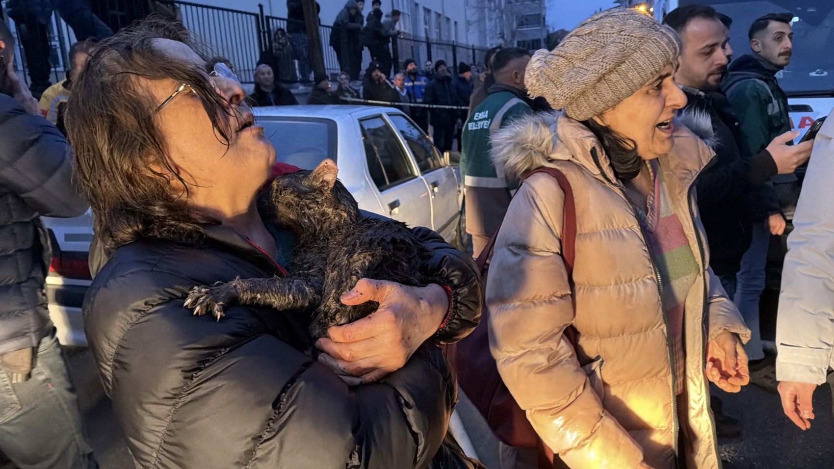 Kediler üşümesin diye yaktılar, iki ev küle döndü