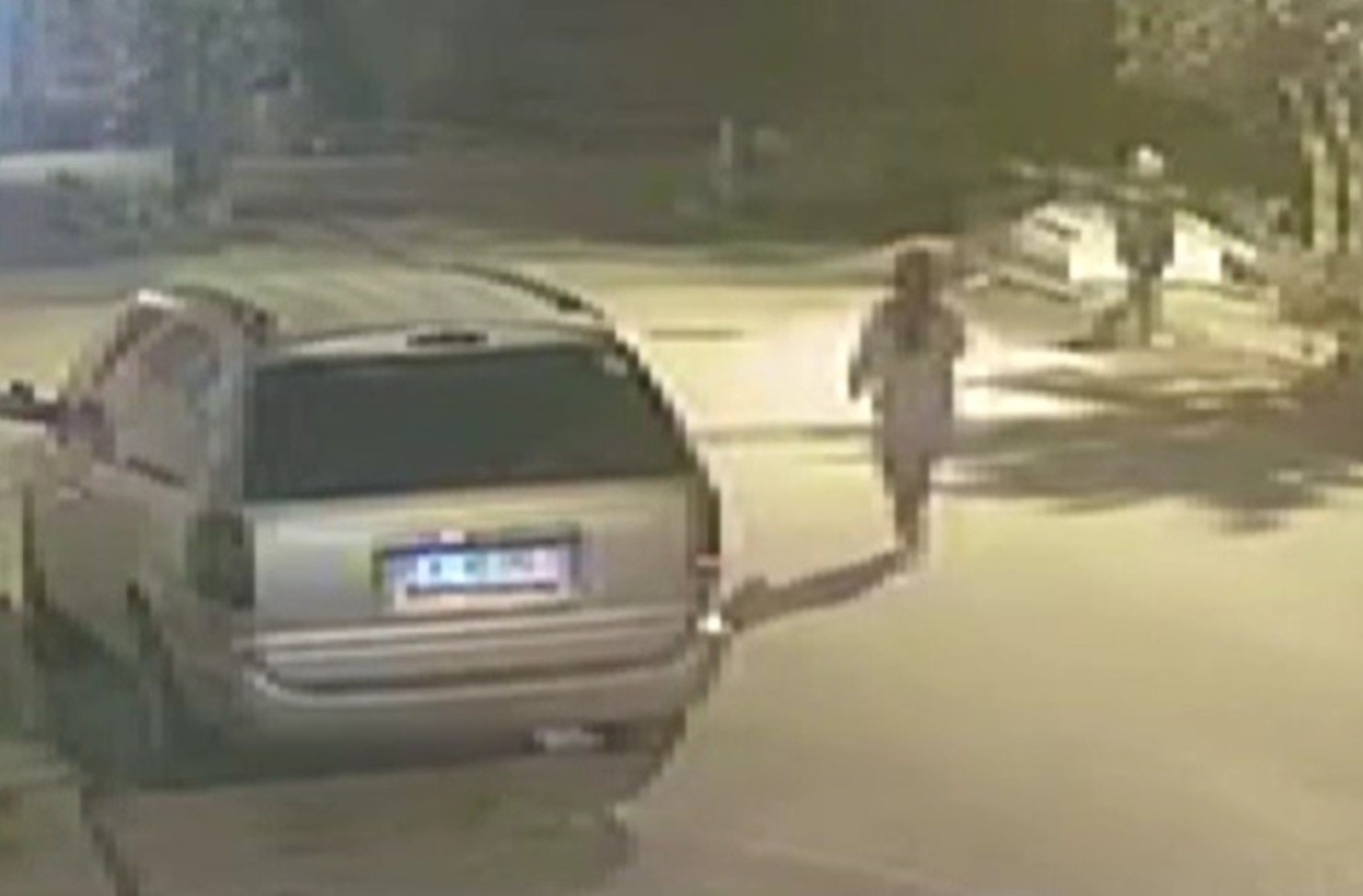 Mihriban cinayetinde kan donduran ifade