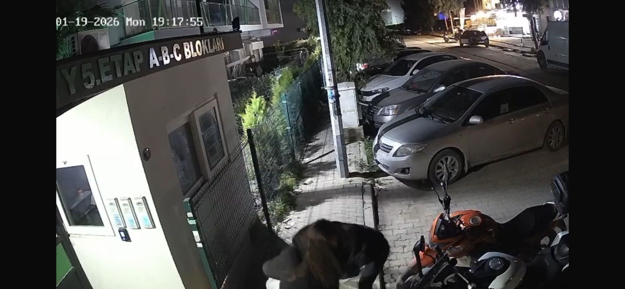 İzmir'de saplantılı eski sevgili cinayeti: Adres değişikliği kurtaramadı