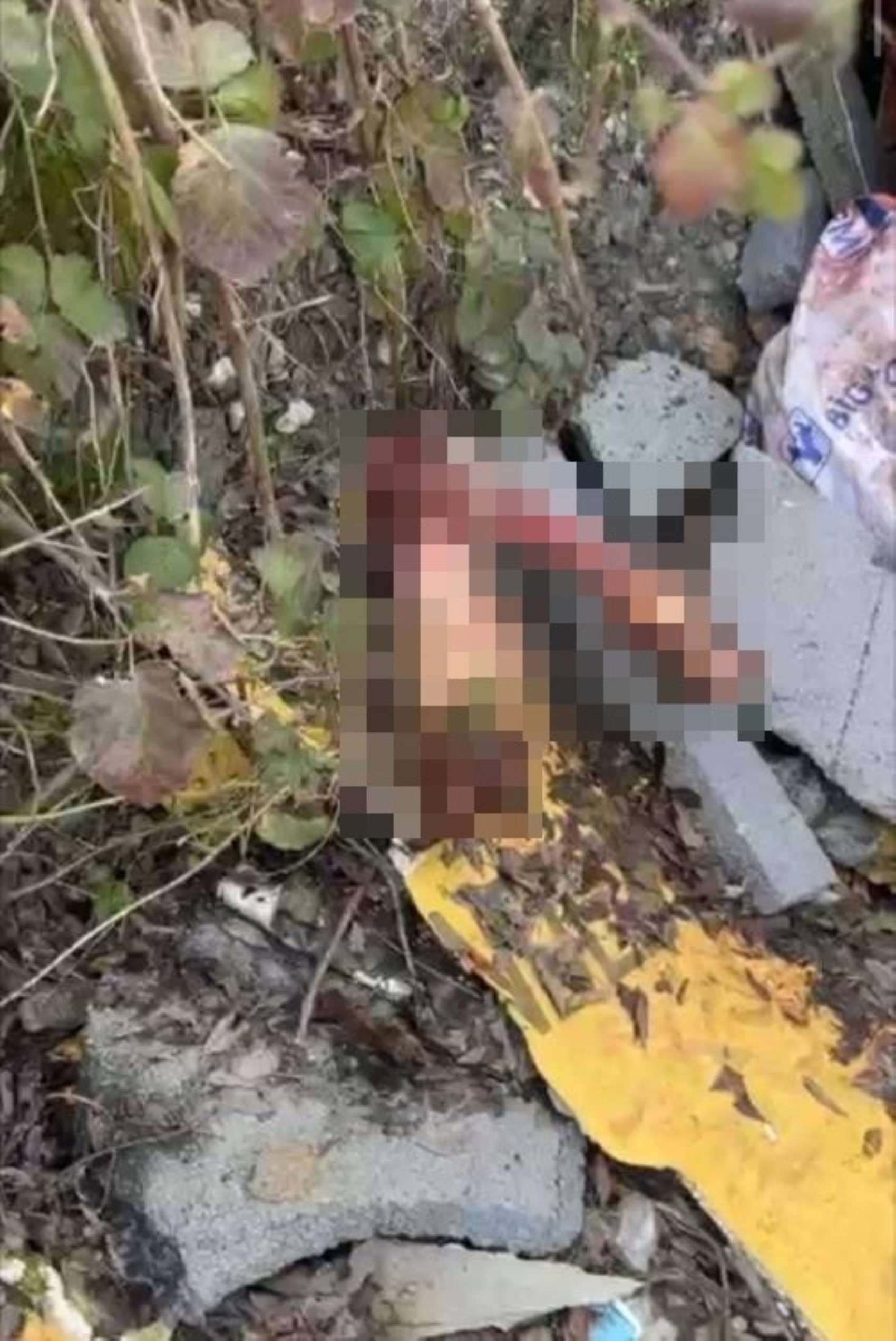 Jandarma otoyol kenarındaki kemiklerin izini sürdü