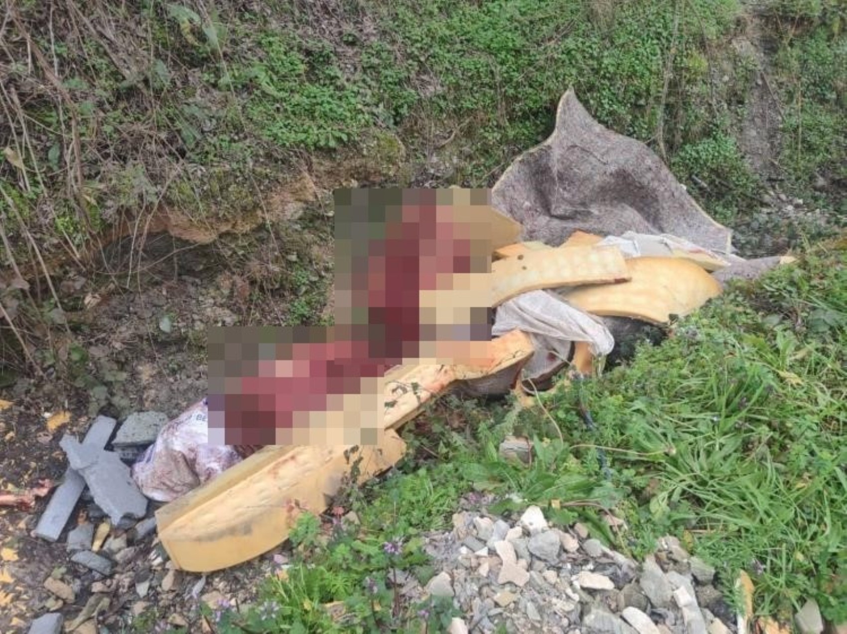 Jandarma otoyol kenarındaki kemiklerin izini sürdü