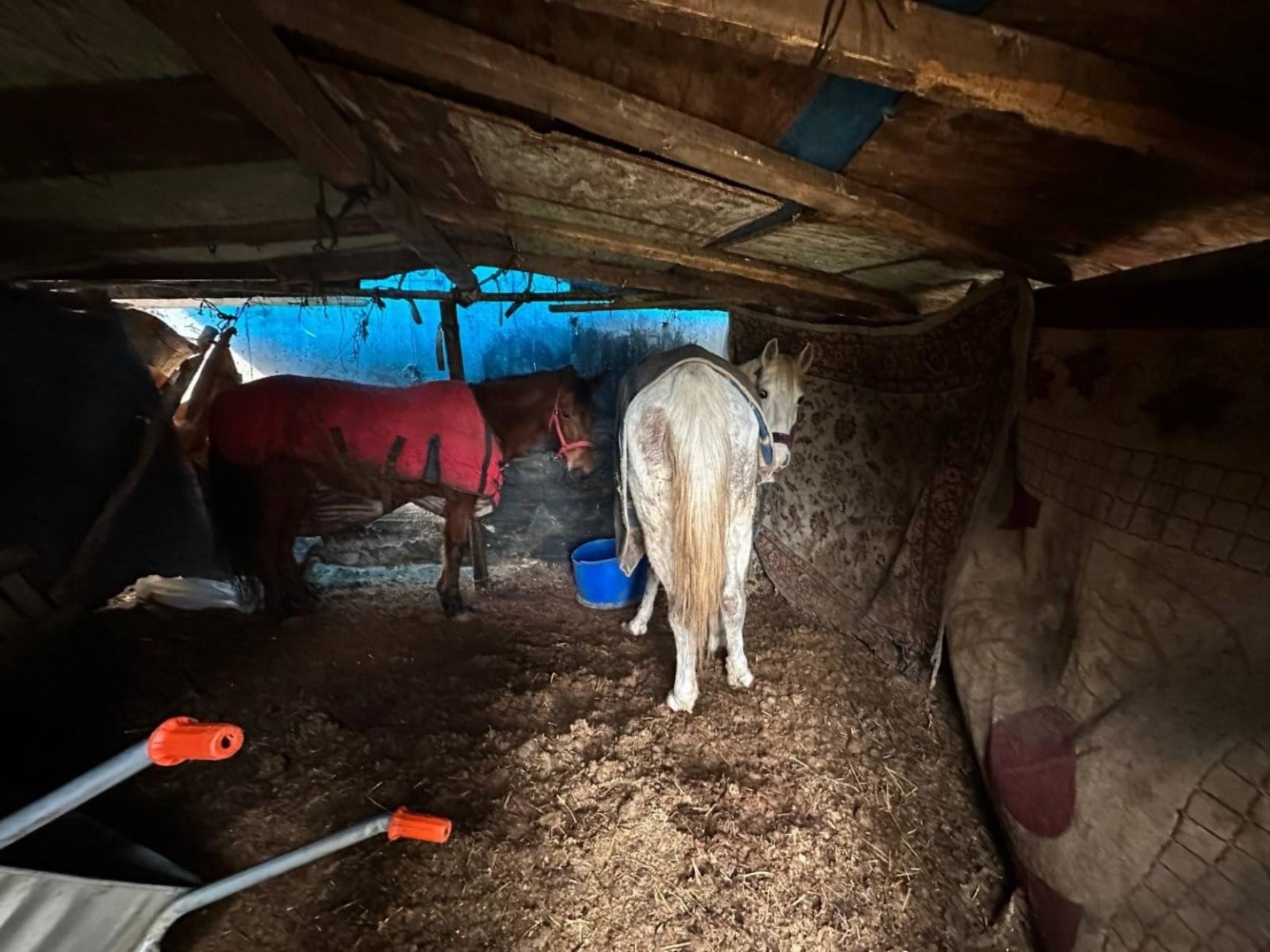 Jandarma otoyol kenarındaki kemiklerin izini sürdü
