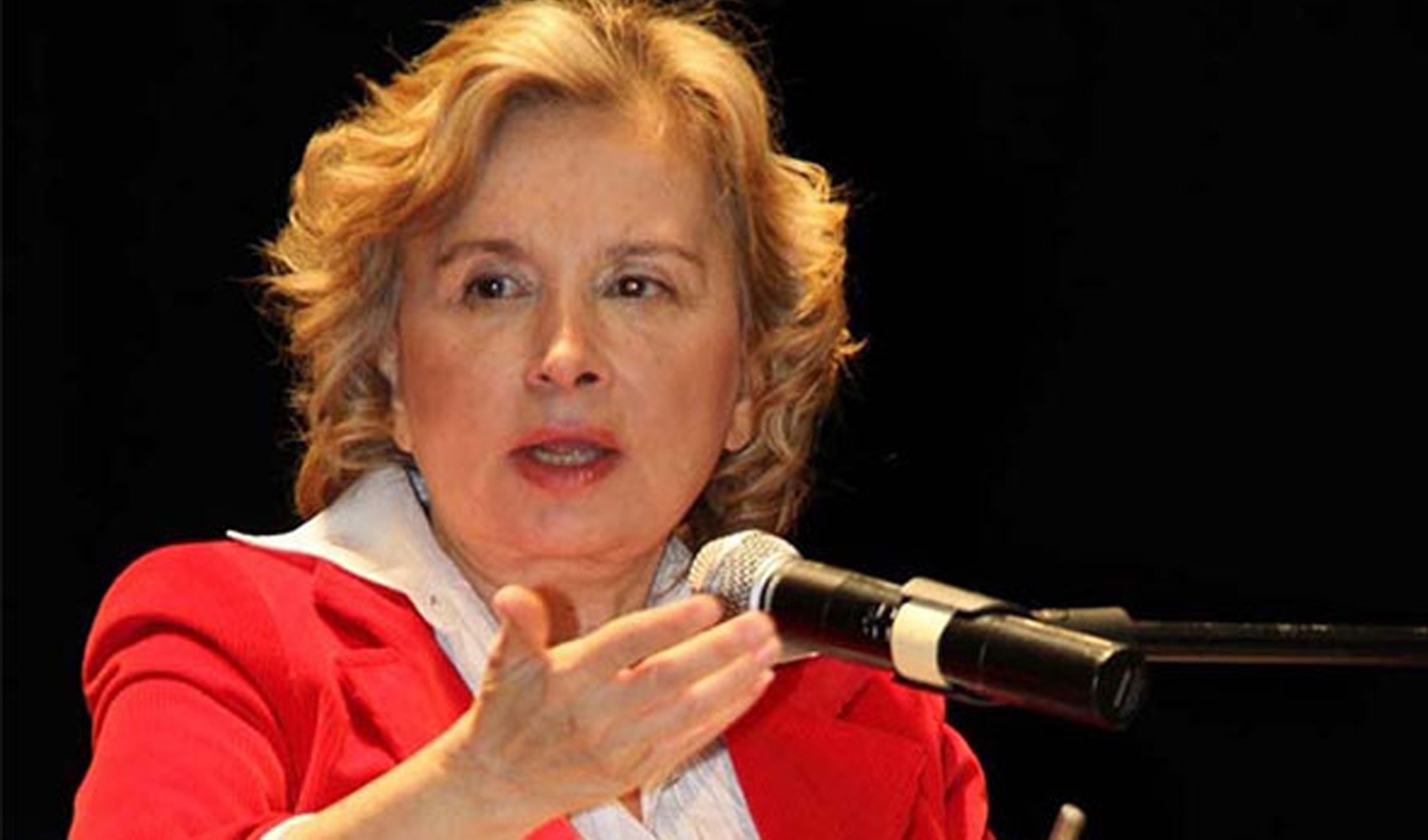 Nazlı Ilıcak'tan 'haksızlıklara karşı çıkmış bir insanım' açıklaması