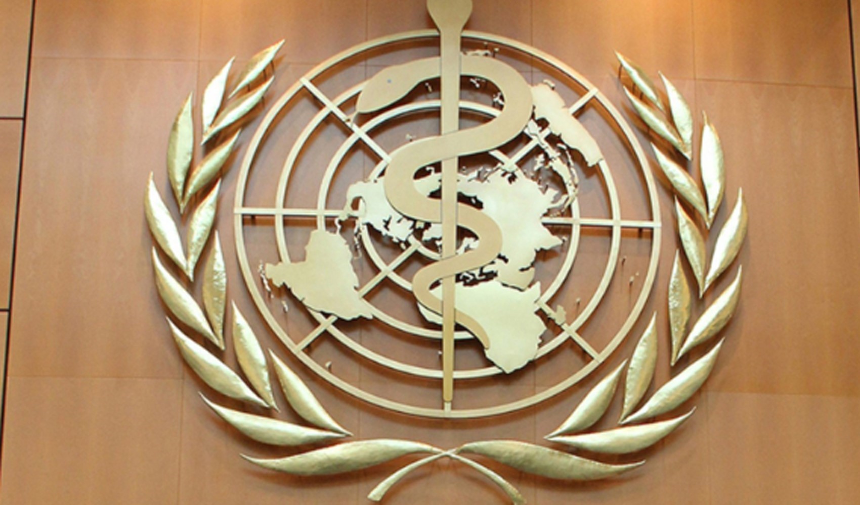 DSÖ’den Nipah virüsü açıklaması geldi