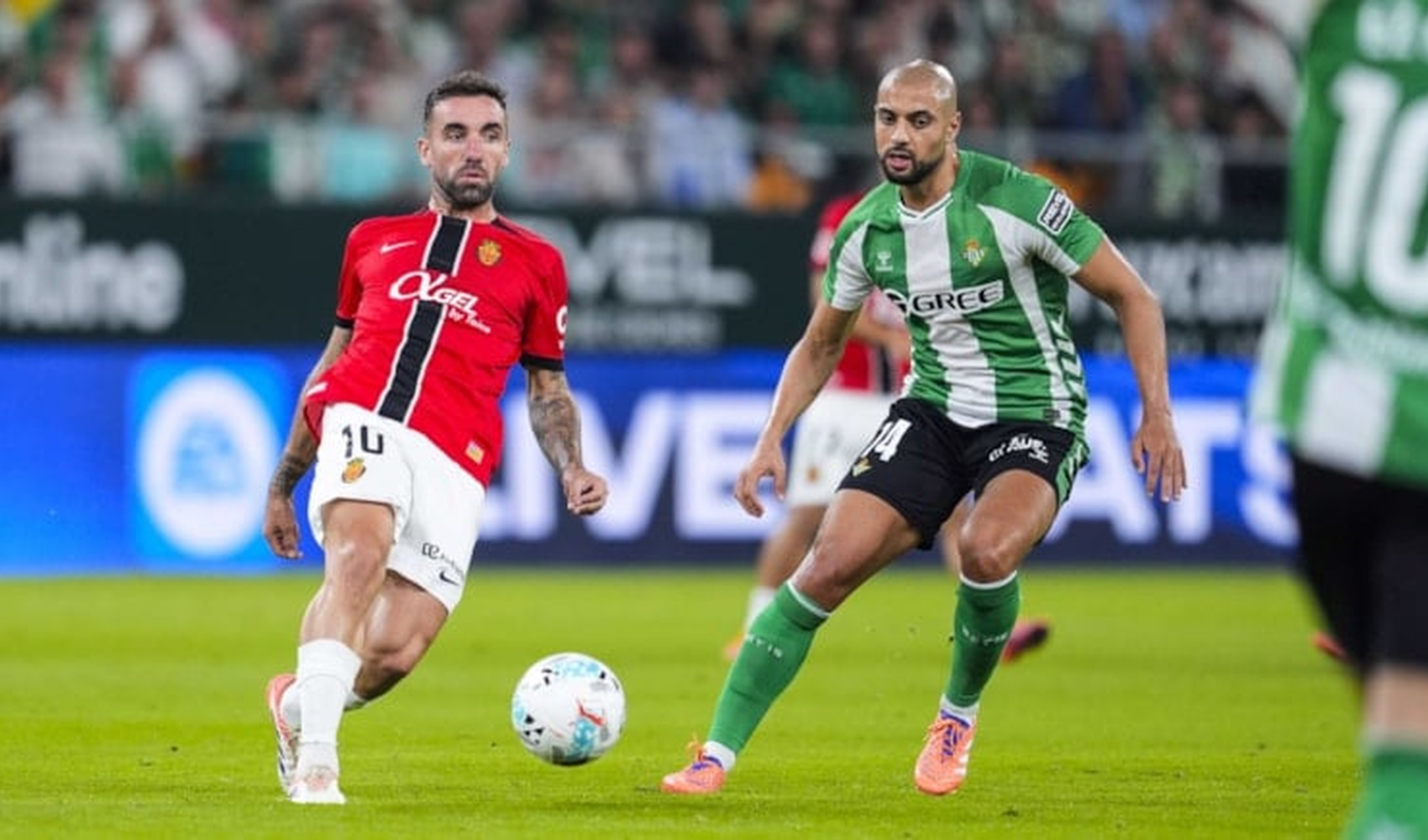 Fenerbahçe'ye Amrabat piyangosu