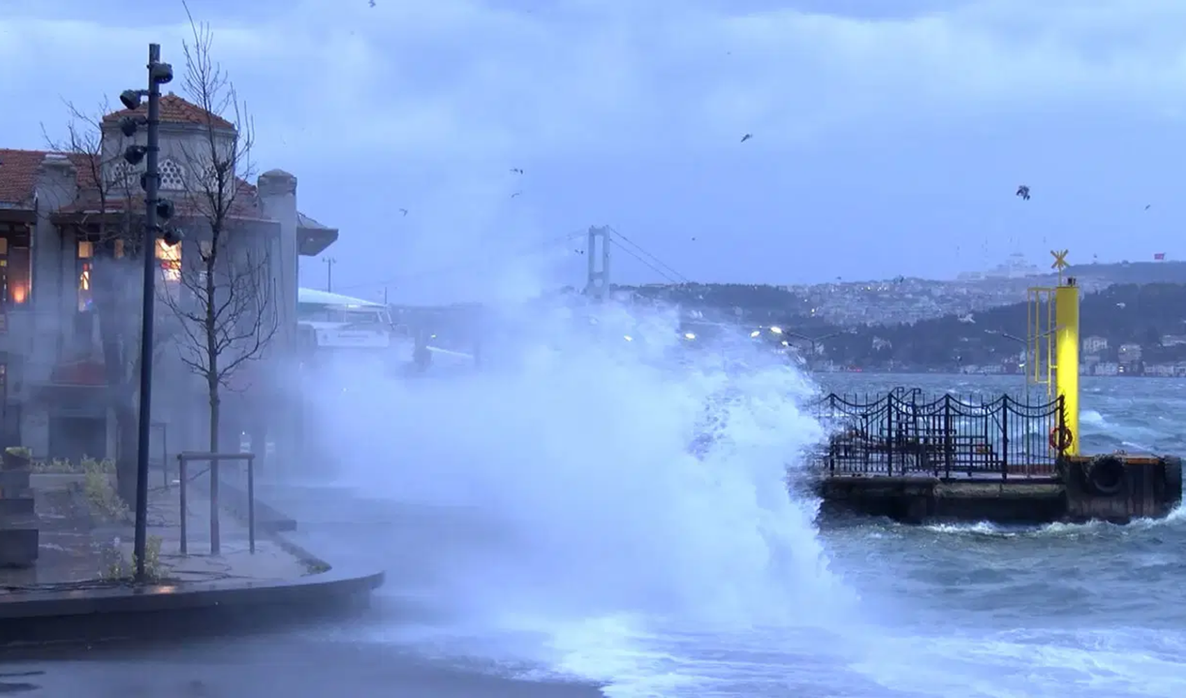 Megakentte fırtına koptu: İstanbul'da Şehir Hatları seferleri iptal edildi