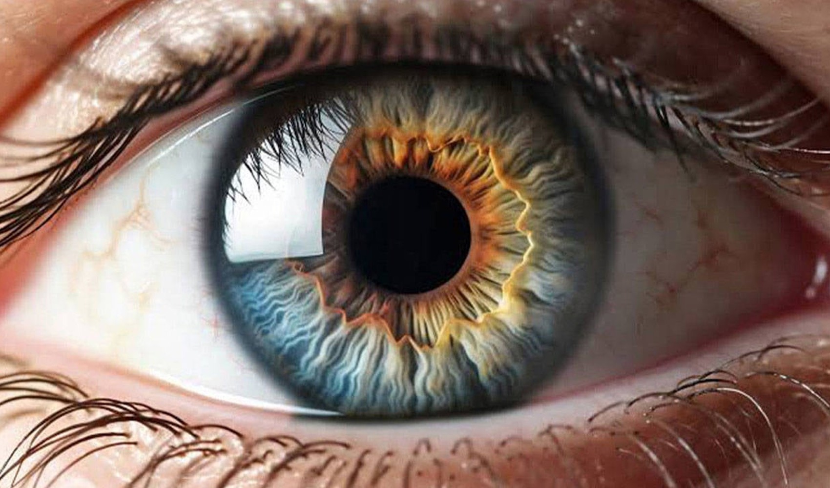 Yapay zekâ retina görüntülerinden yaşı tahmin etti: Ortalama hata payı yaklaşık 2,5 yıl