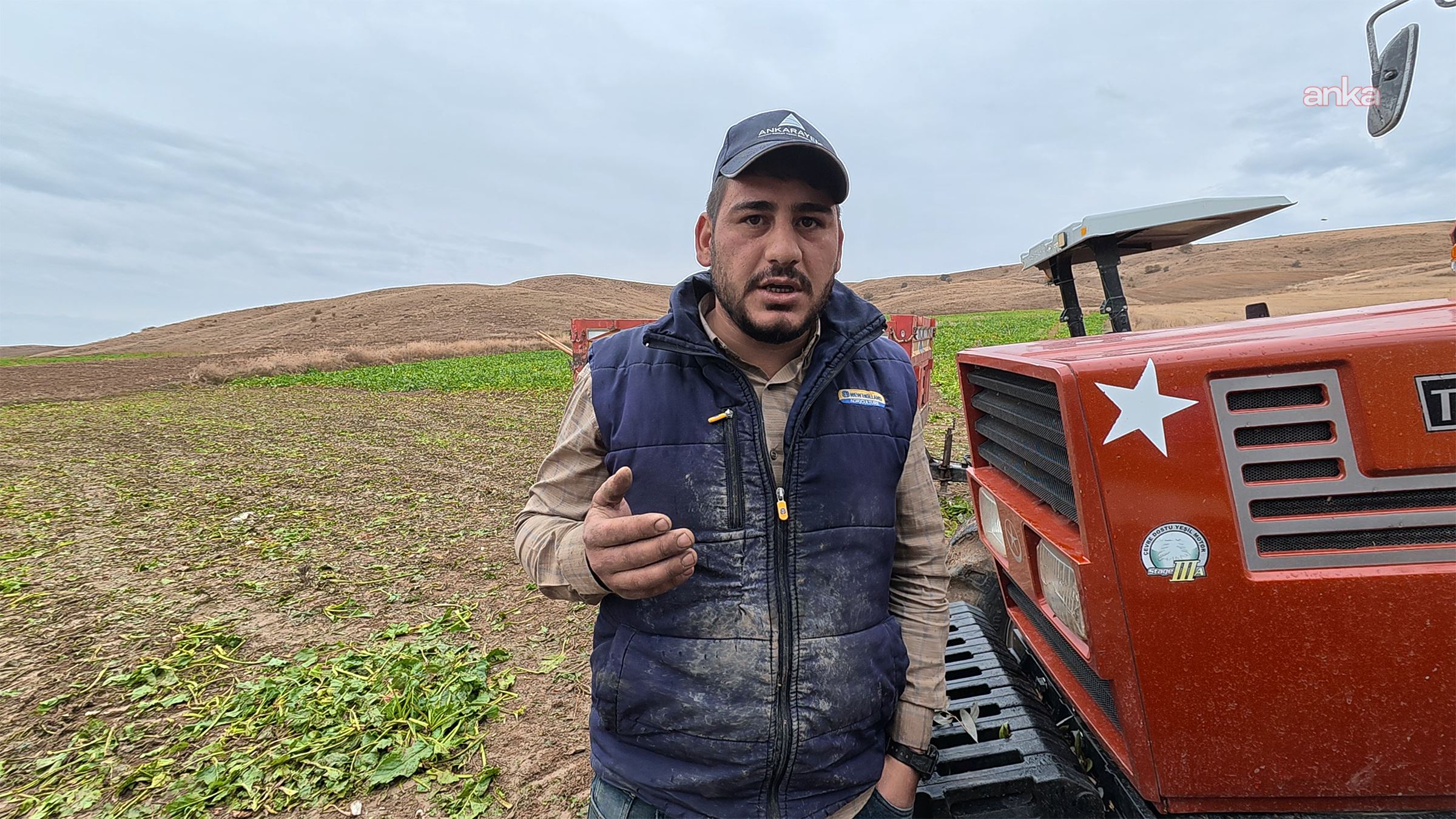 Yozgat’ta bir üretici, pancar tarlasında traktörün yanında konuşurken görülüyor.