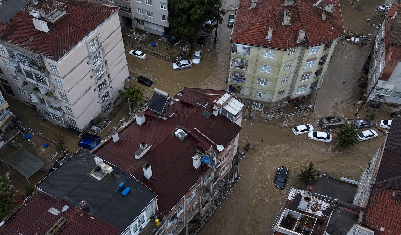 Bakan Göktaş duyurdu: Selden etkilenen hanelere acil afet yardımı için kaynak aktarılacak