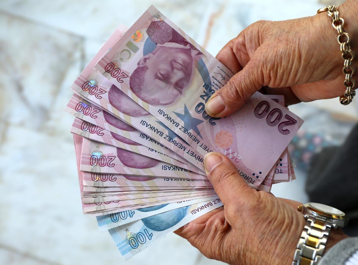 Hands of a person holding Turkish Lira banknotes.