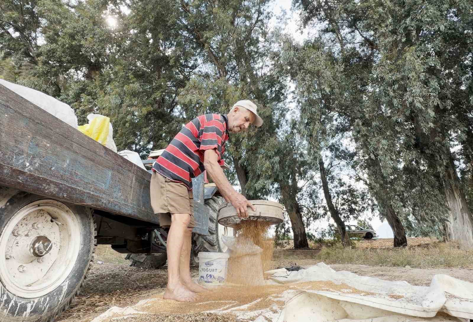 Bir üreticinin traktör yanında susamı elekten geçirdiği görüntü.