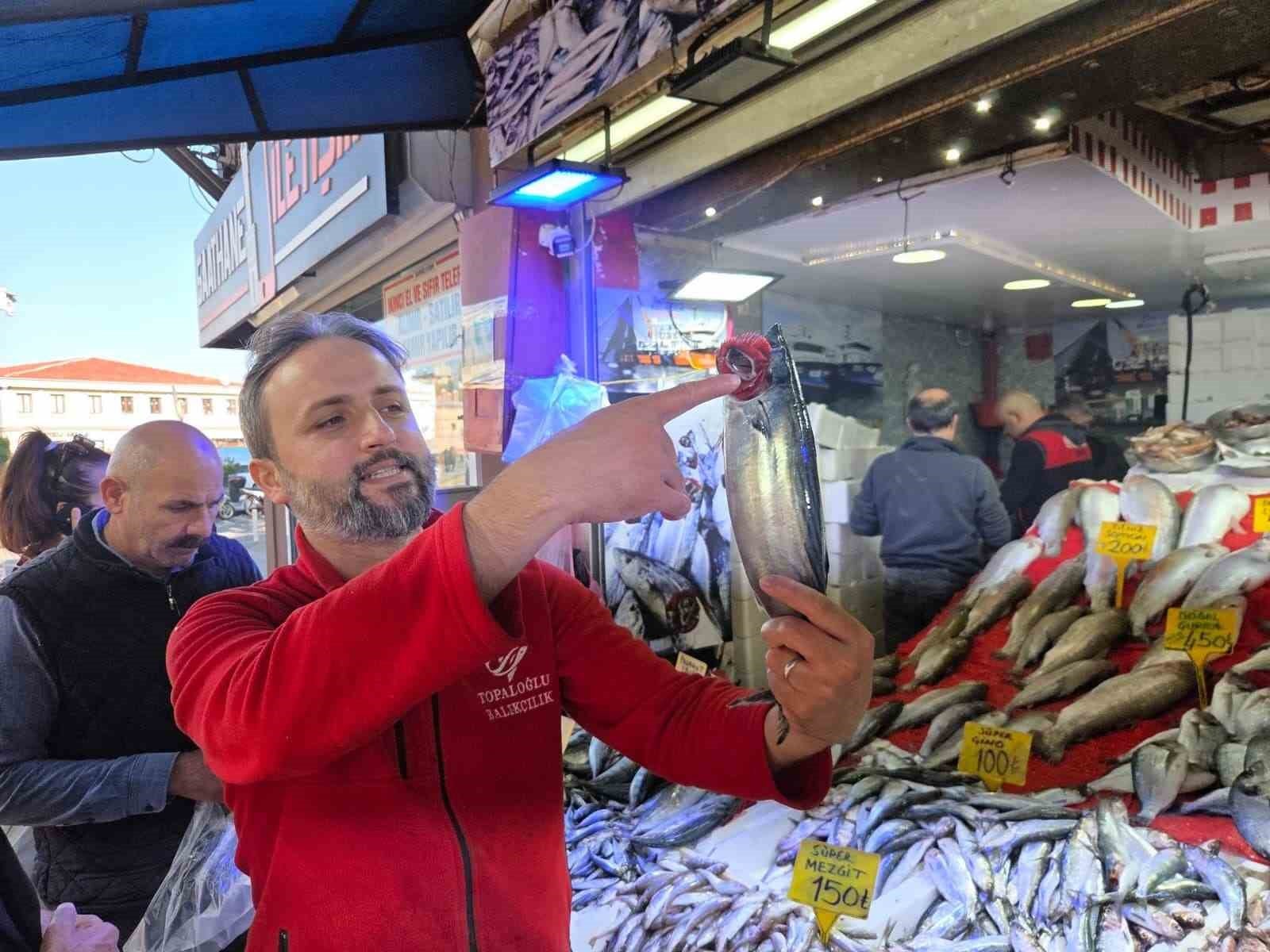 A merchant showing bonito at a fish market.