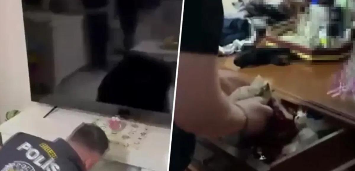 Polis ekiplerinin adreslerde arama yaptığı anlara ait görüntü.