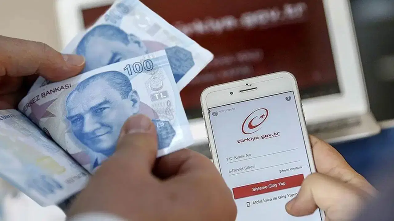 Türk lirası banknotları ve e-Devlet giriş ekranı görünen telefon.