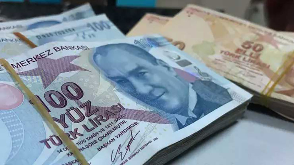 Yakın planda 100 TL ve 50 TL banknot desteleri.