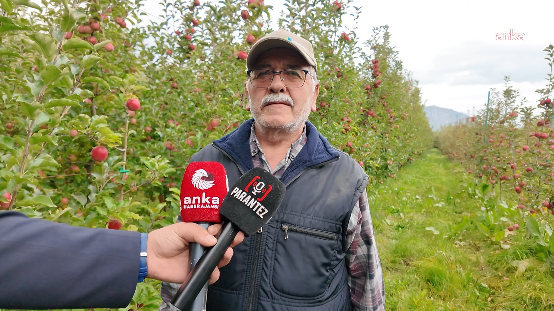 Isparta’da elma bahçesinde konuşan bir üretici ve mikrofonlar.
