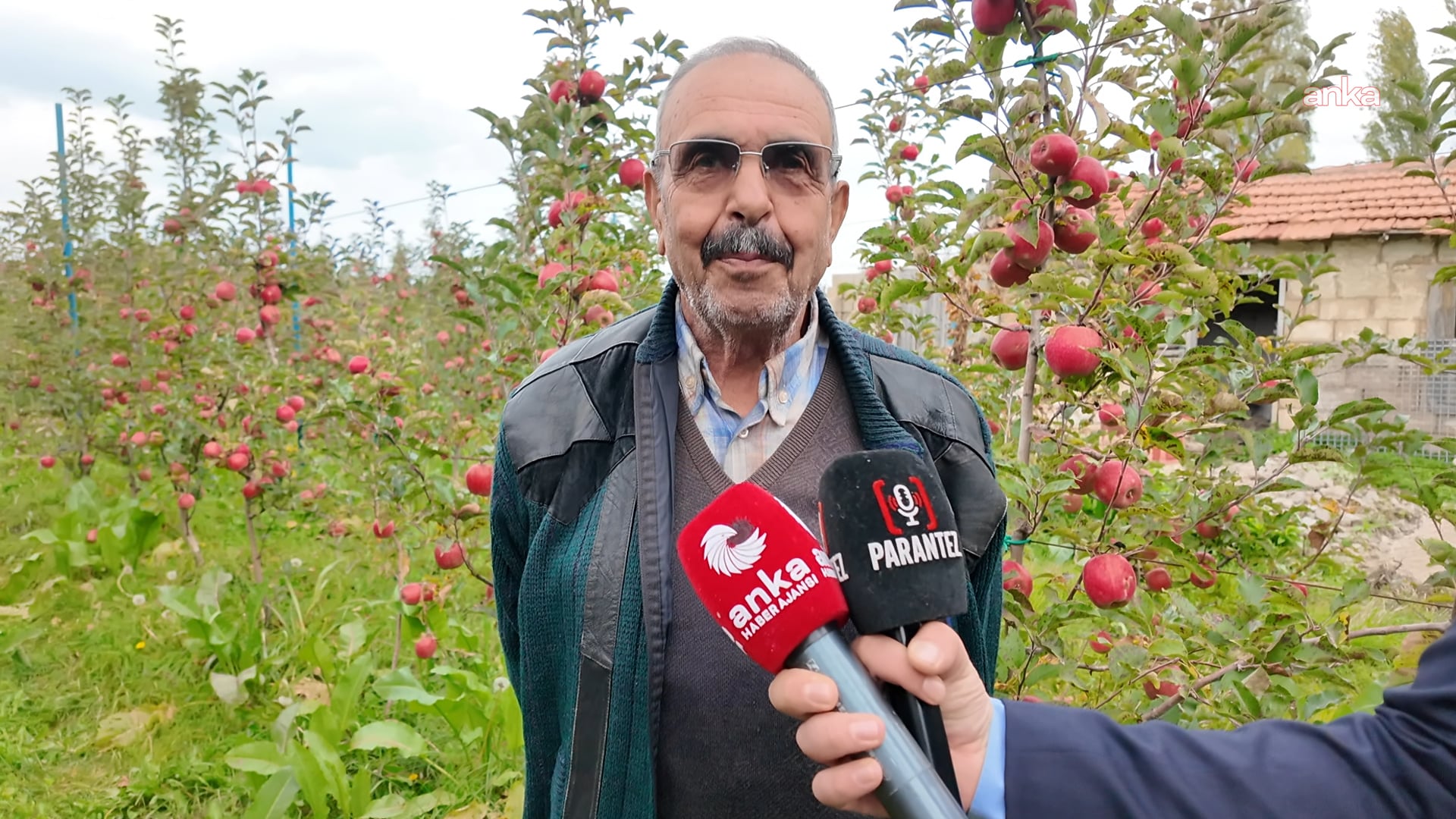 Elma bahçesinde röportaj veren bir üretici.