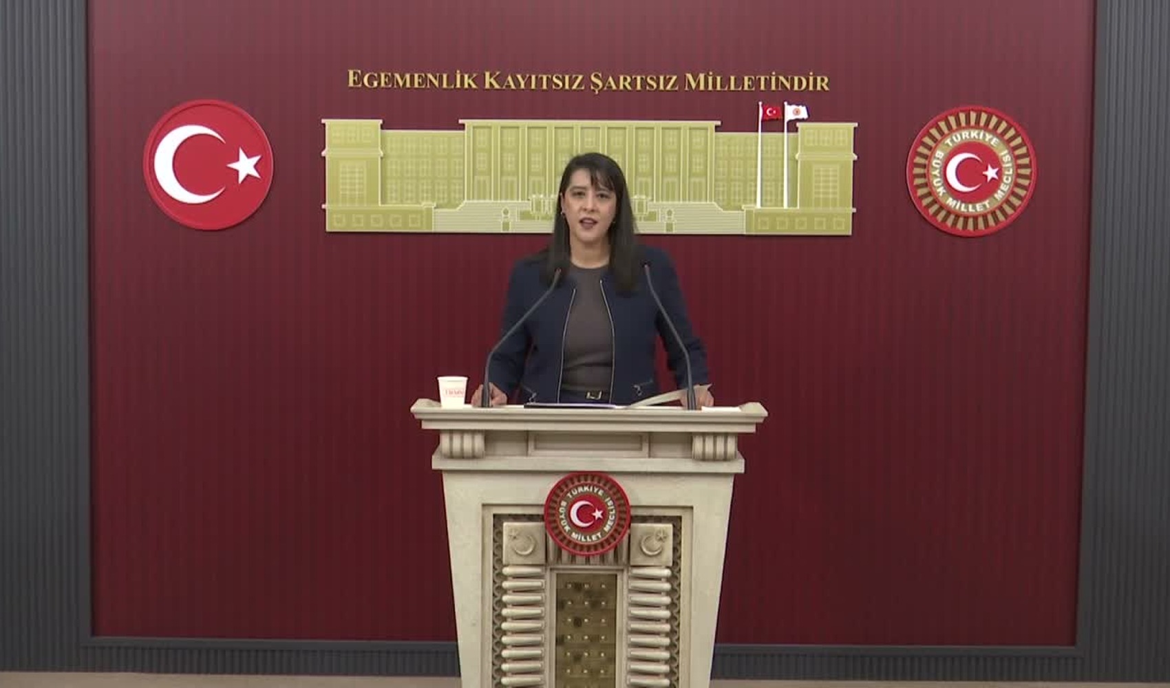 Karaca: Fon krizinde düzen sorgulanmalı