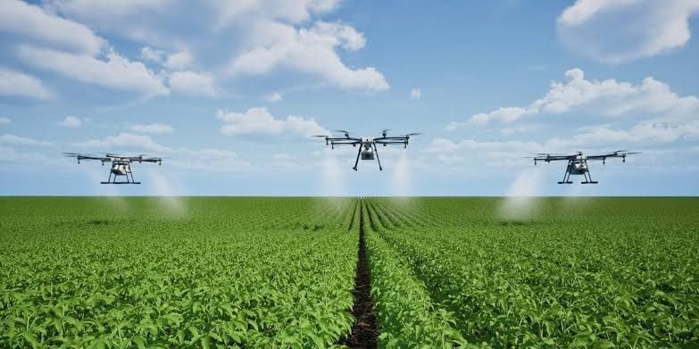 Three agricultural drones spraying a green field.