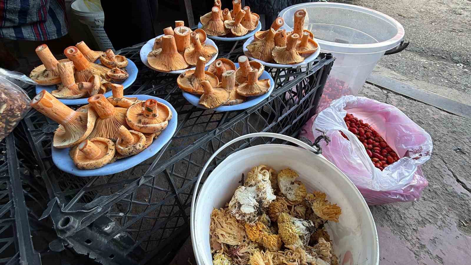 Pazar tezgahında kanlıca mantarları, farklı mantarlar ve ürün kovaları.