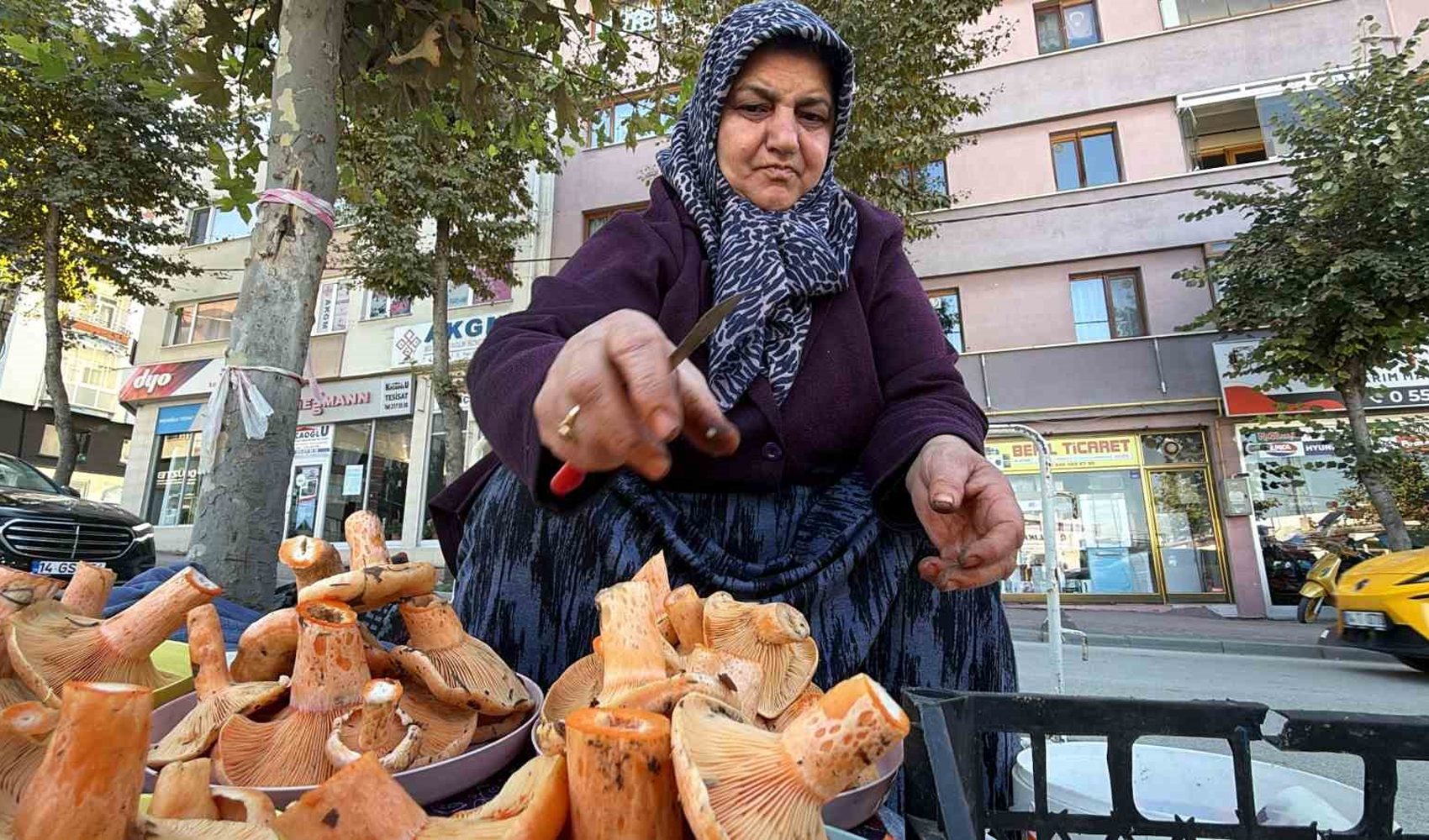 A Bolu arrivano i funghi lattari: venduti tra i 500 e i 600 lire al chilo