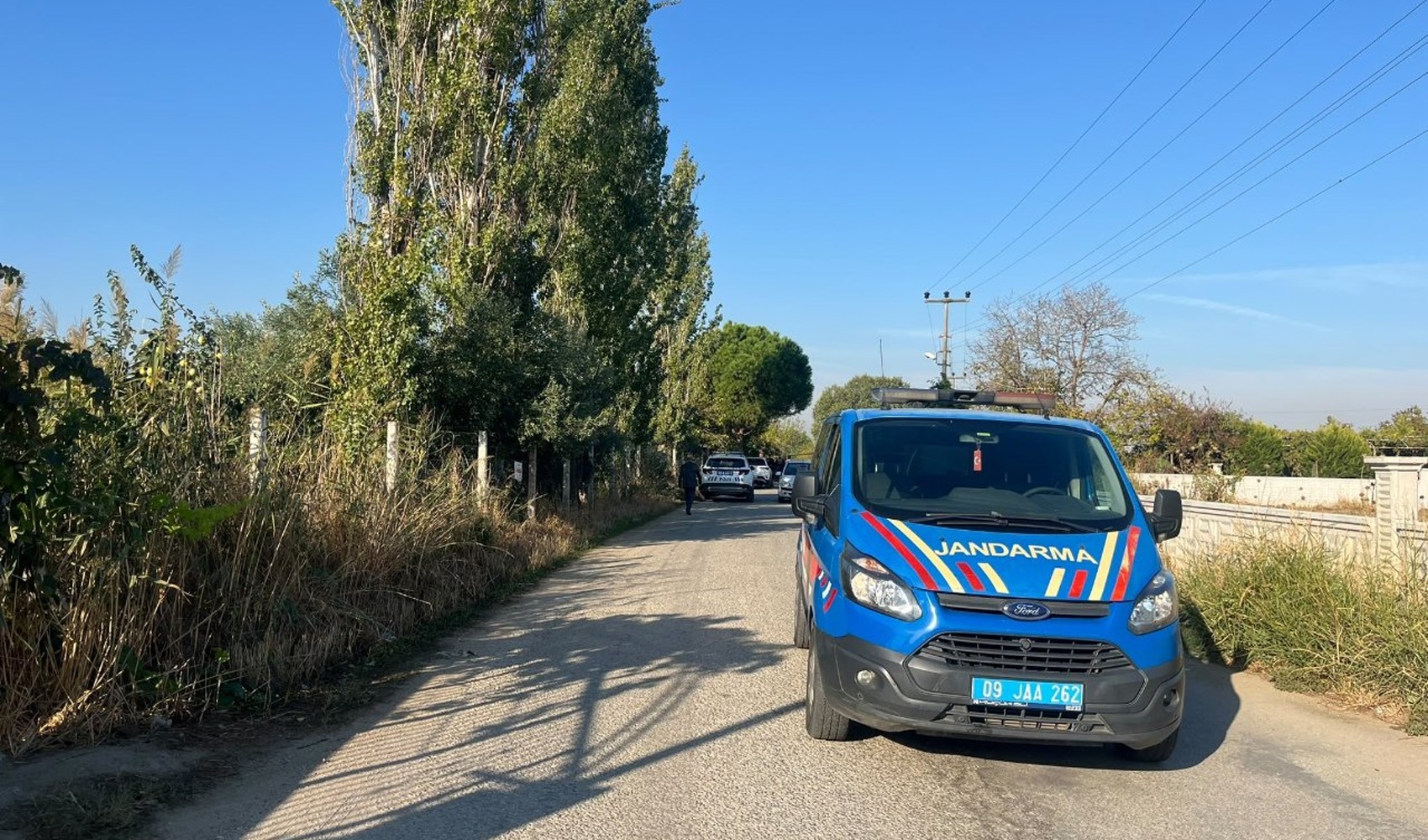 Femicide in Aydın