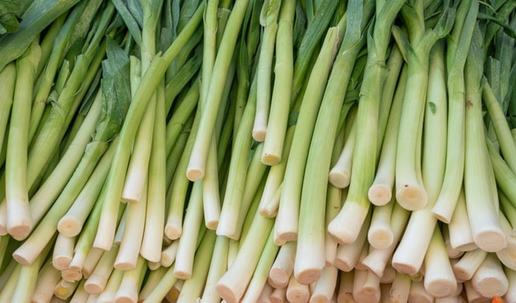 Pırasa tüketirken dikkat! Besin değerini korumak için neler yapılmalı?