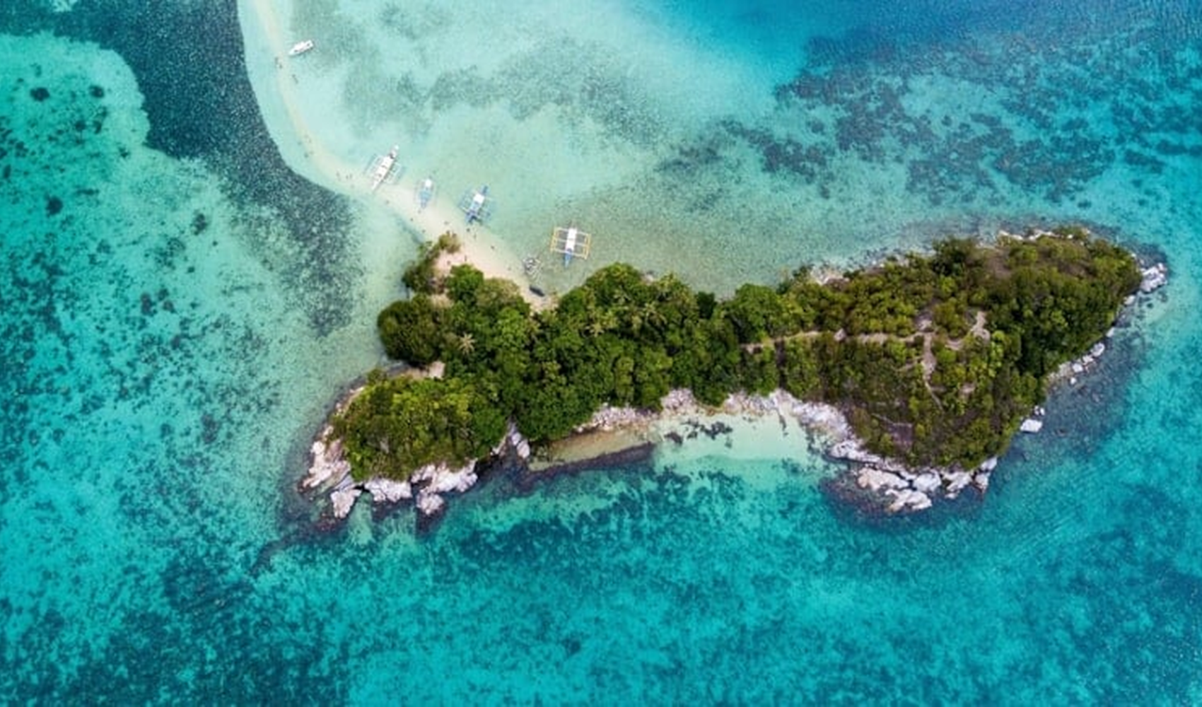 Dünyanın en tehlikeli yılanlarının bulunduğu adaya giriş yasağı