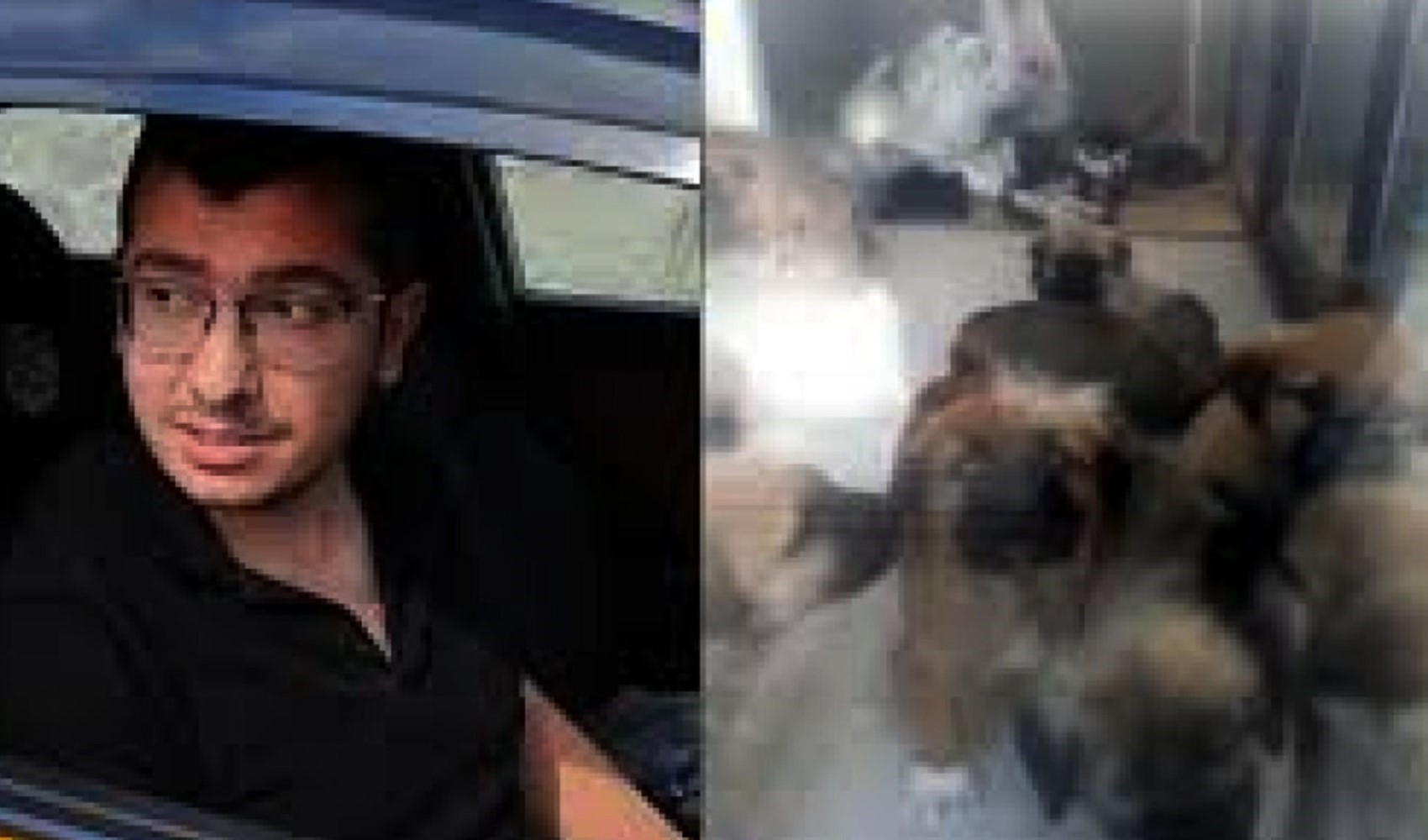 İstinaftan, köpekleri öldüren Duman'a verilen cezada indirim