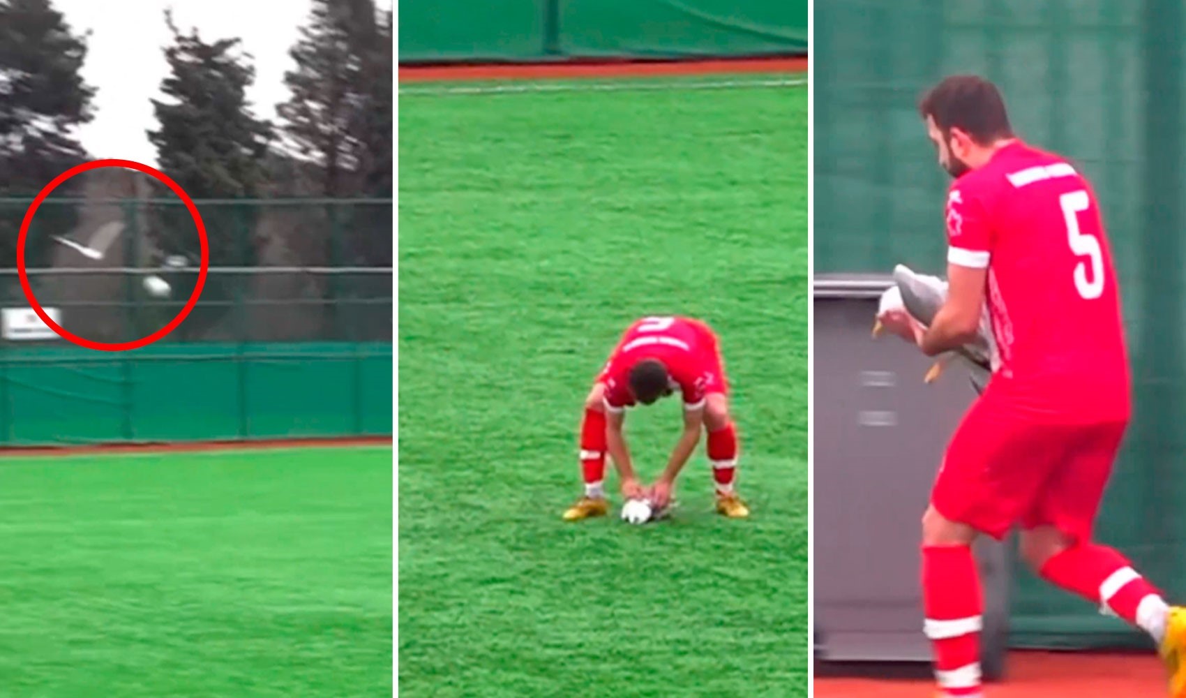 Amatör maçta ilginç anlar: Martı kalp masajıyla kurtarıldı