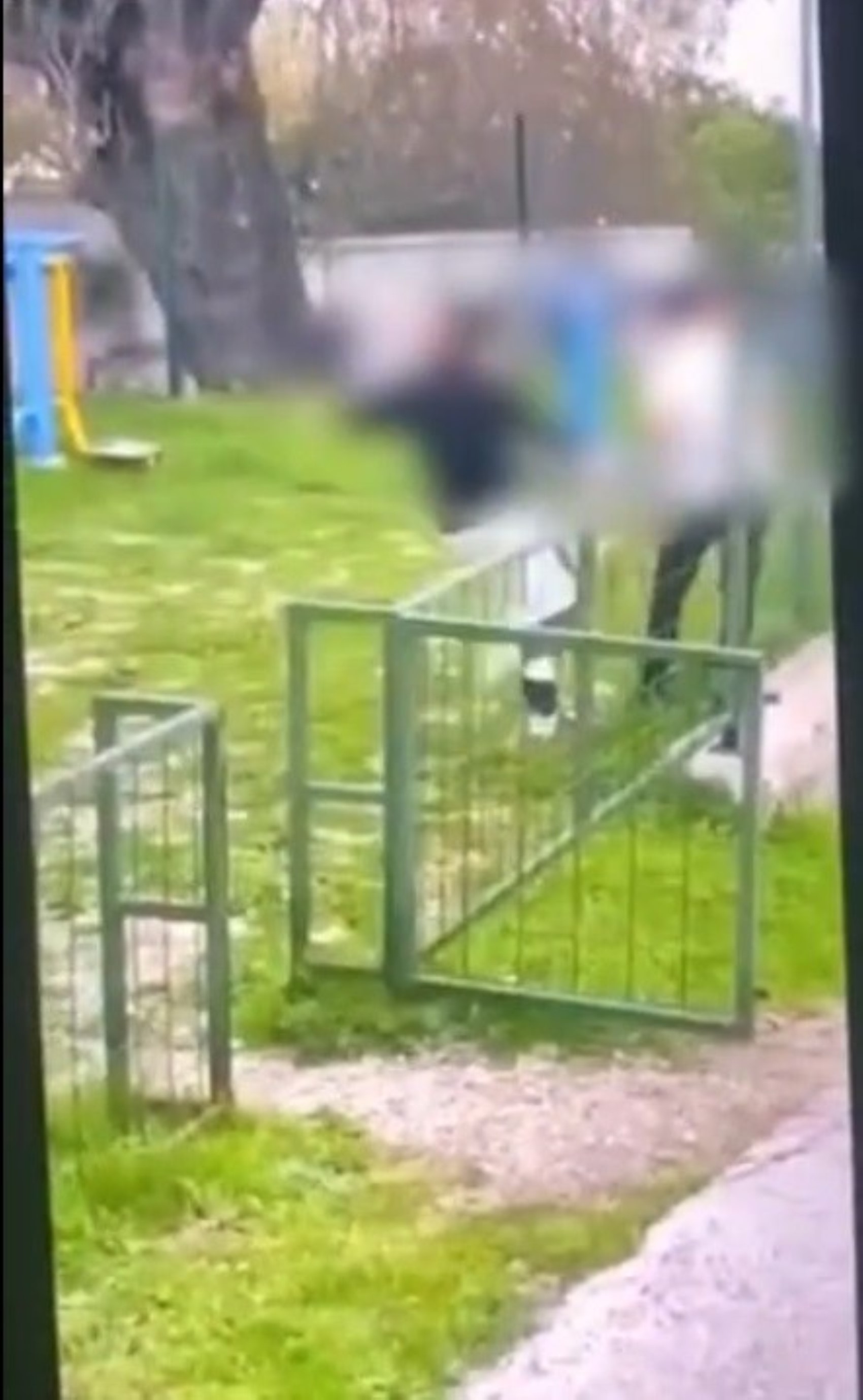 Bodrum'da akran zorbalığı: Ardı ardına attığı yumruklarla bayılmasına yol açtı