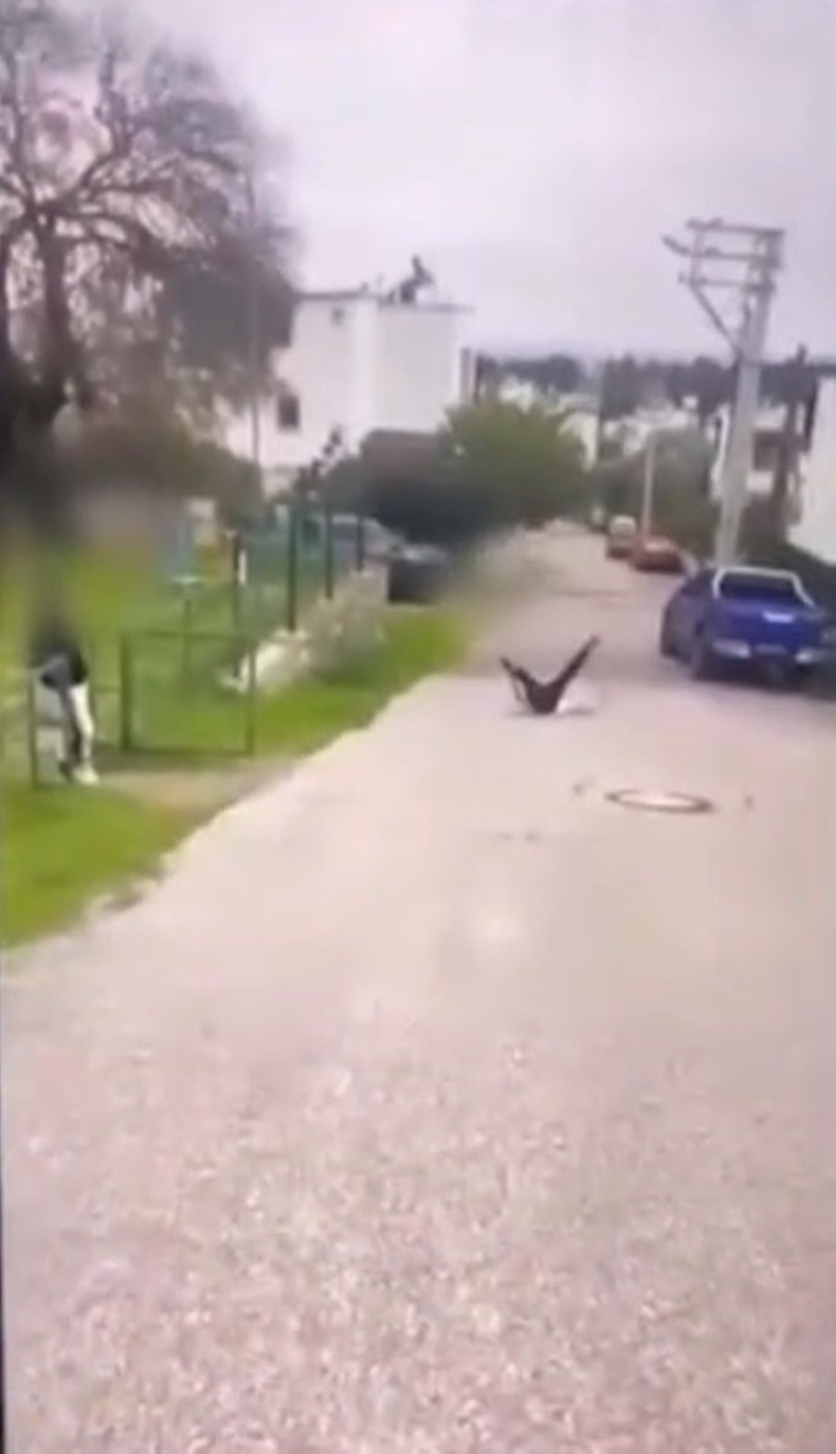 Bodrum'da akran zorbalığı: Ardı ardına attığı yumruklarla bayılmasına yol açtı