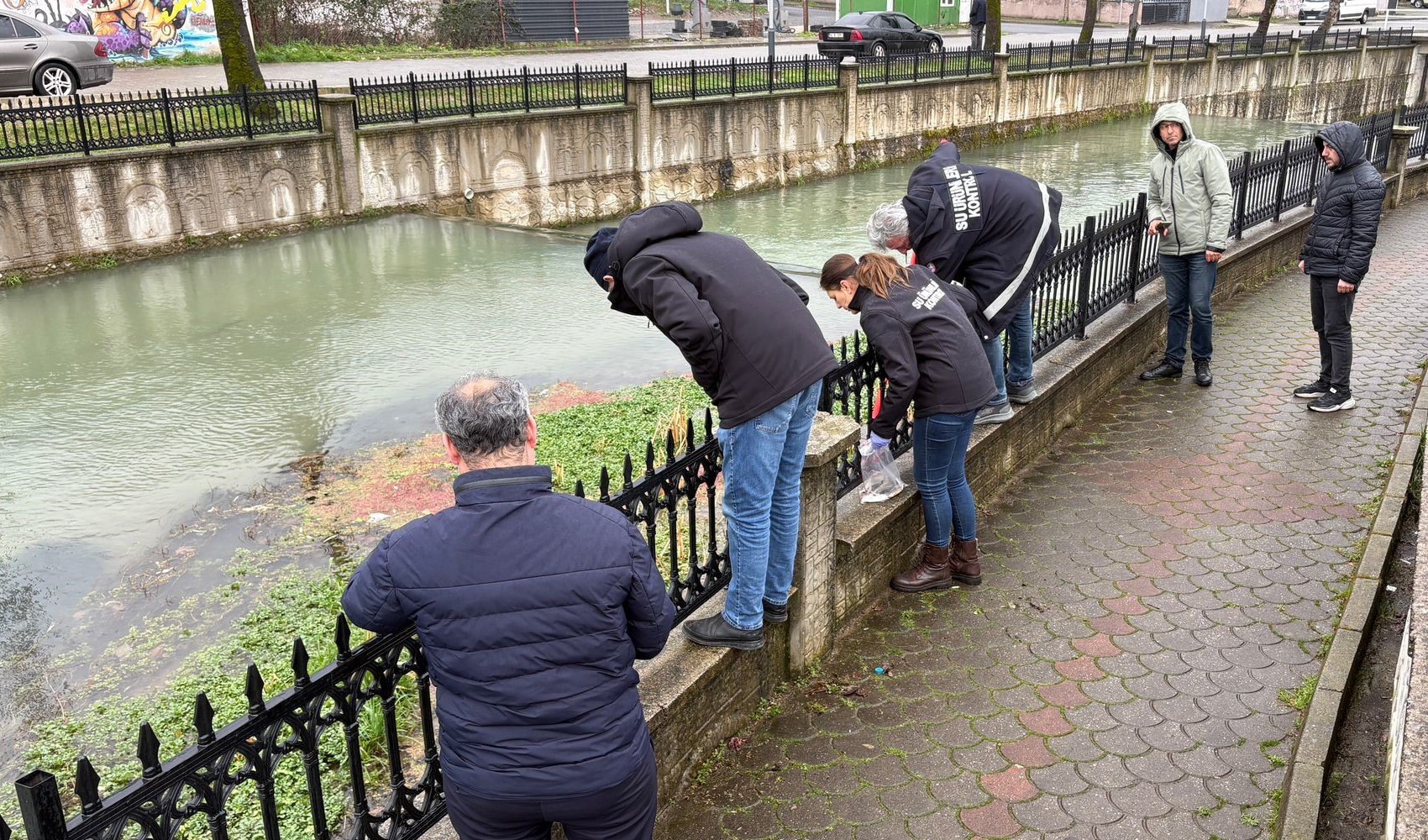 Uludere Çayı'nda binlerce ölü balık bulundu