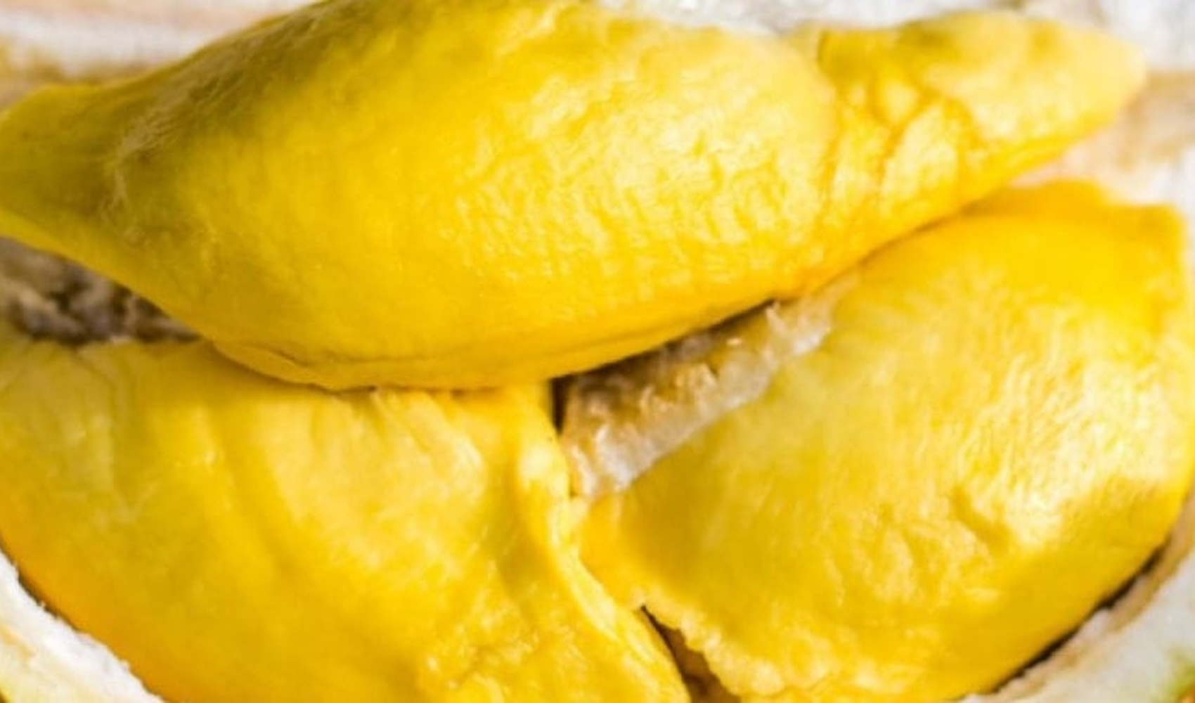 Durian: Meyvelerin Kralı ve Dünyadaki En Pahalı Meyve