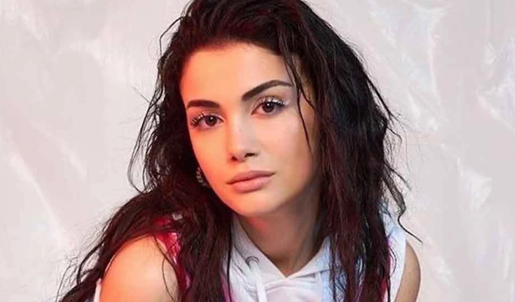 Ece Ronay’ın Türk Silahlı Kuvvetleri paylaşımına soruşturma açıldı