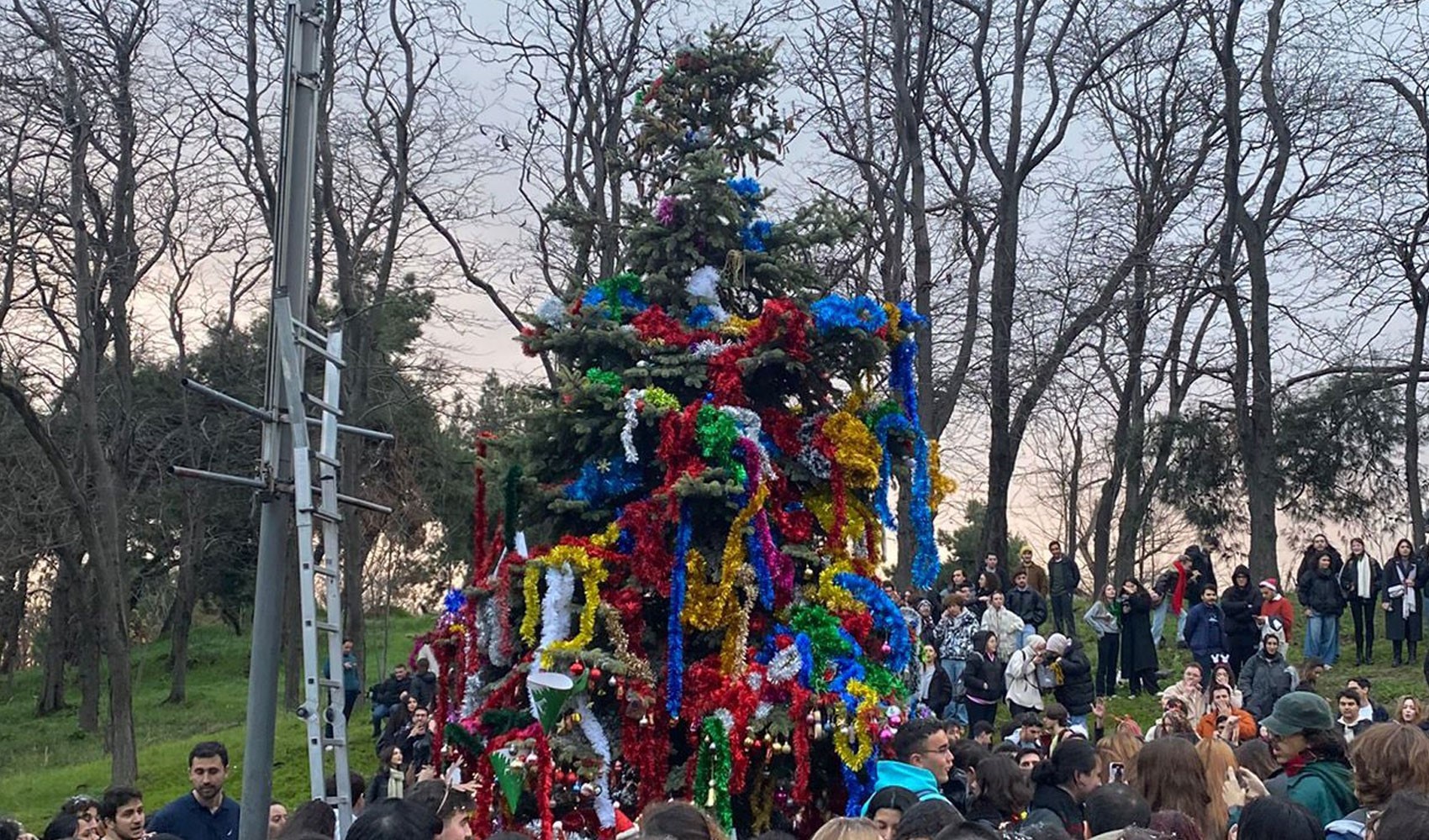 YTÜ'den çam ağacı süsleyen öğrencilere suç duyurusu