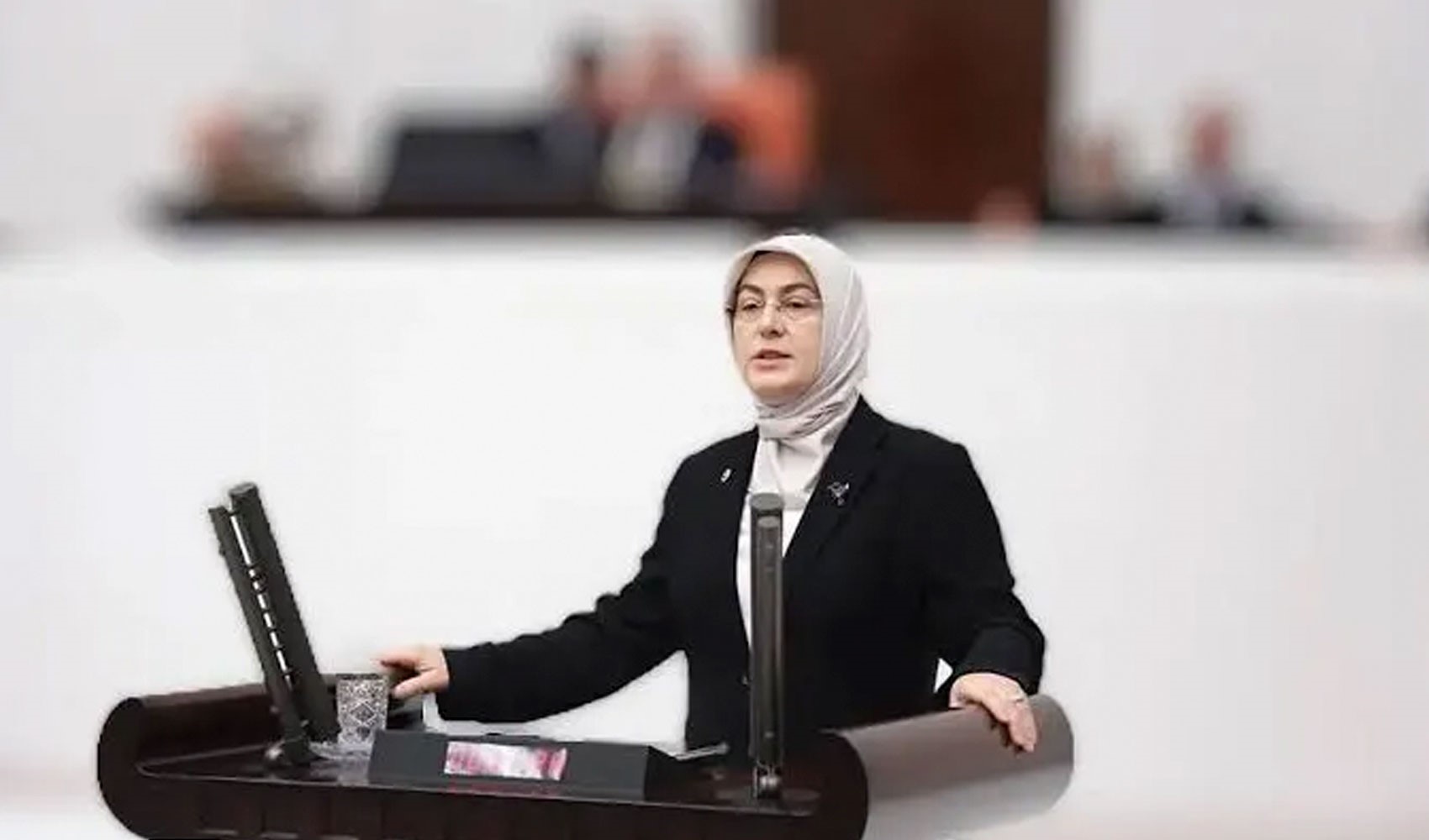 AKP'li vekilin park ihlalini yayınlayan 2 kişiye hapis cezası