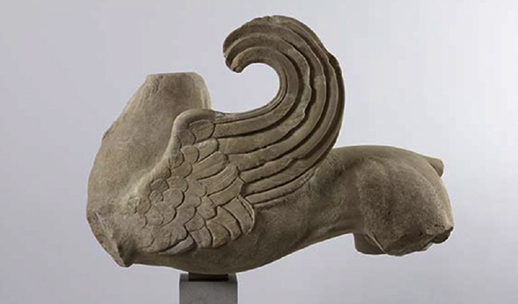 Griffin: Başı kartal, vücudu aslan!