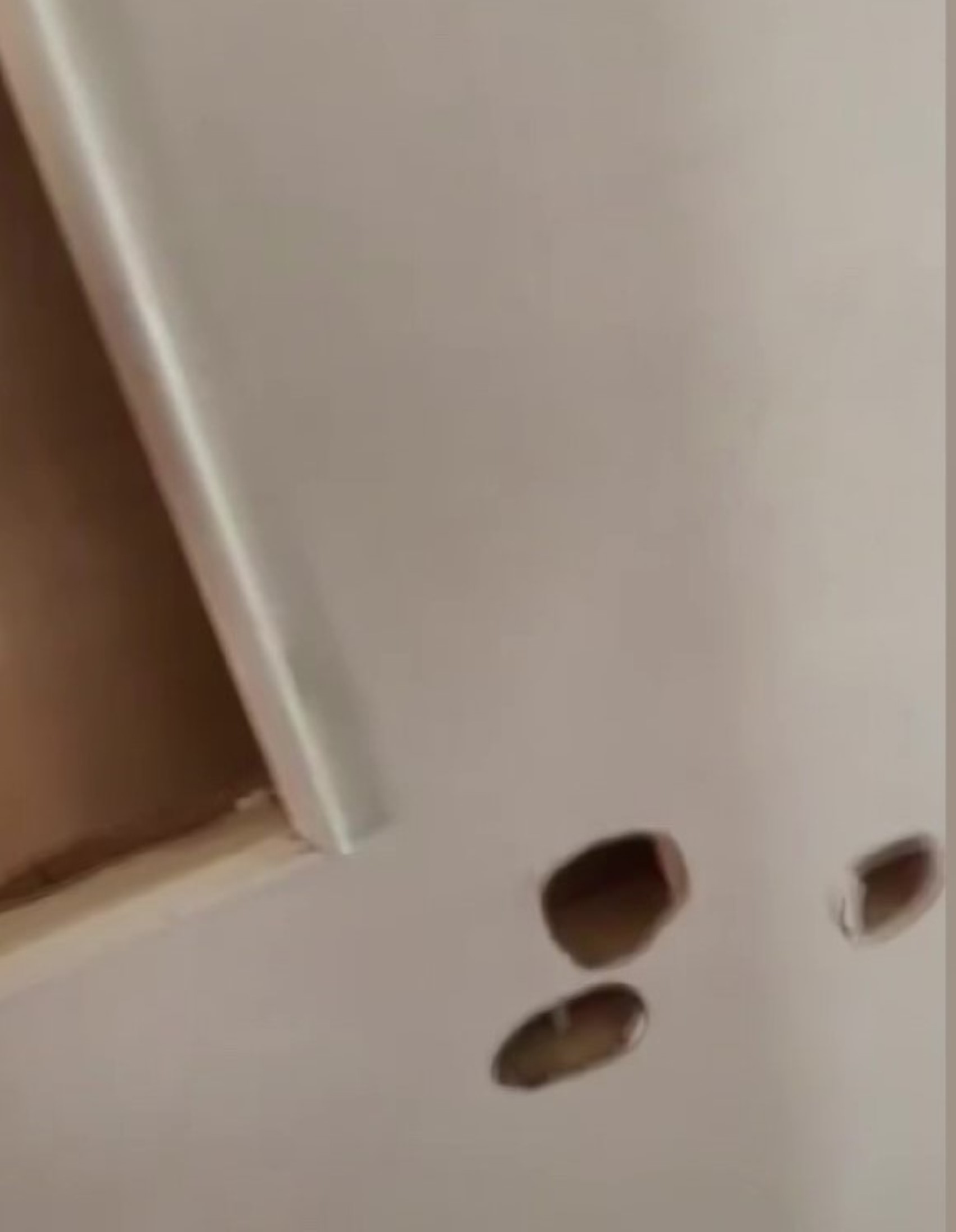 'Polisiz' diyerek eve giren şüpheliler anne ile oğlunu vurdu