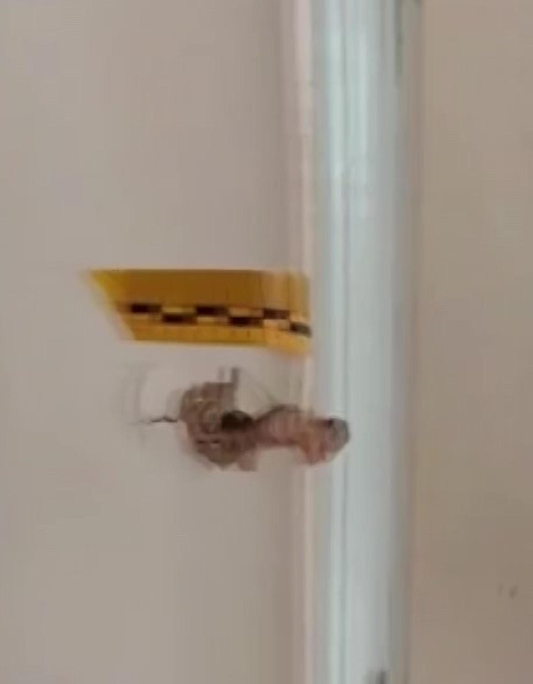 'Polisiz' diyerek eve giren şüpheliler anne ile oğlunu vurdu