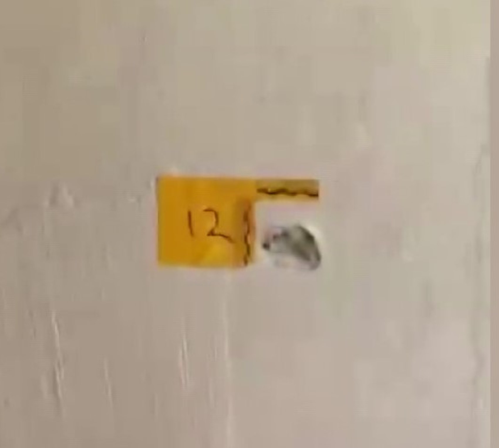 'Polisiz' diyerek eve giren şüpheliler anne ile oğlunu vurdu