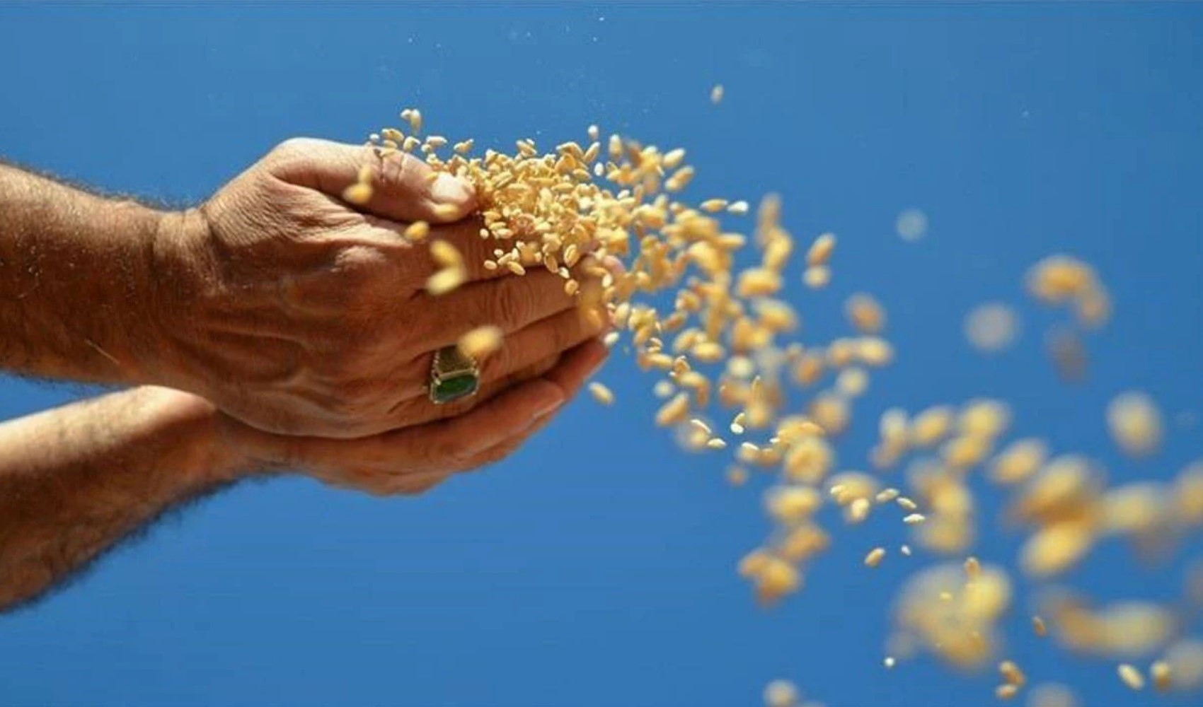 Rusya’dan korkutan uyarı: Gıda krizi kapıda mı?