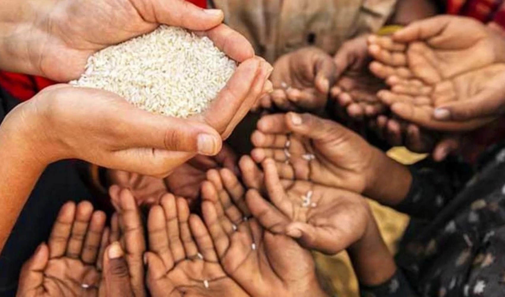 Finansal gereklilik ve biyolojik sermaye: Gıda borsasının revizyonu
